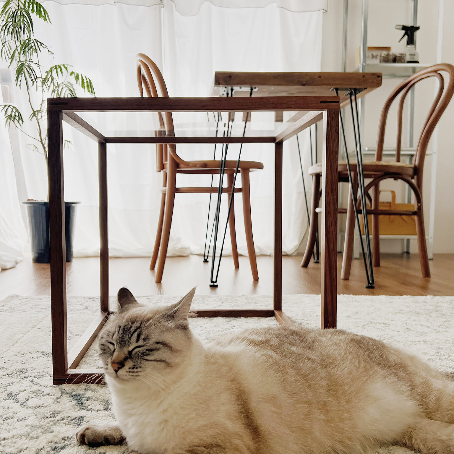 無印良品 トーネットのインテリア実例 ｜ RoomClip（ルームクリップ）