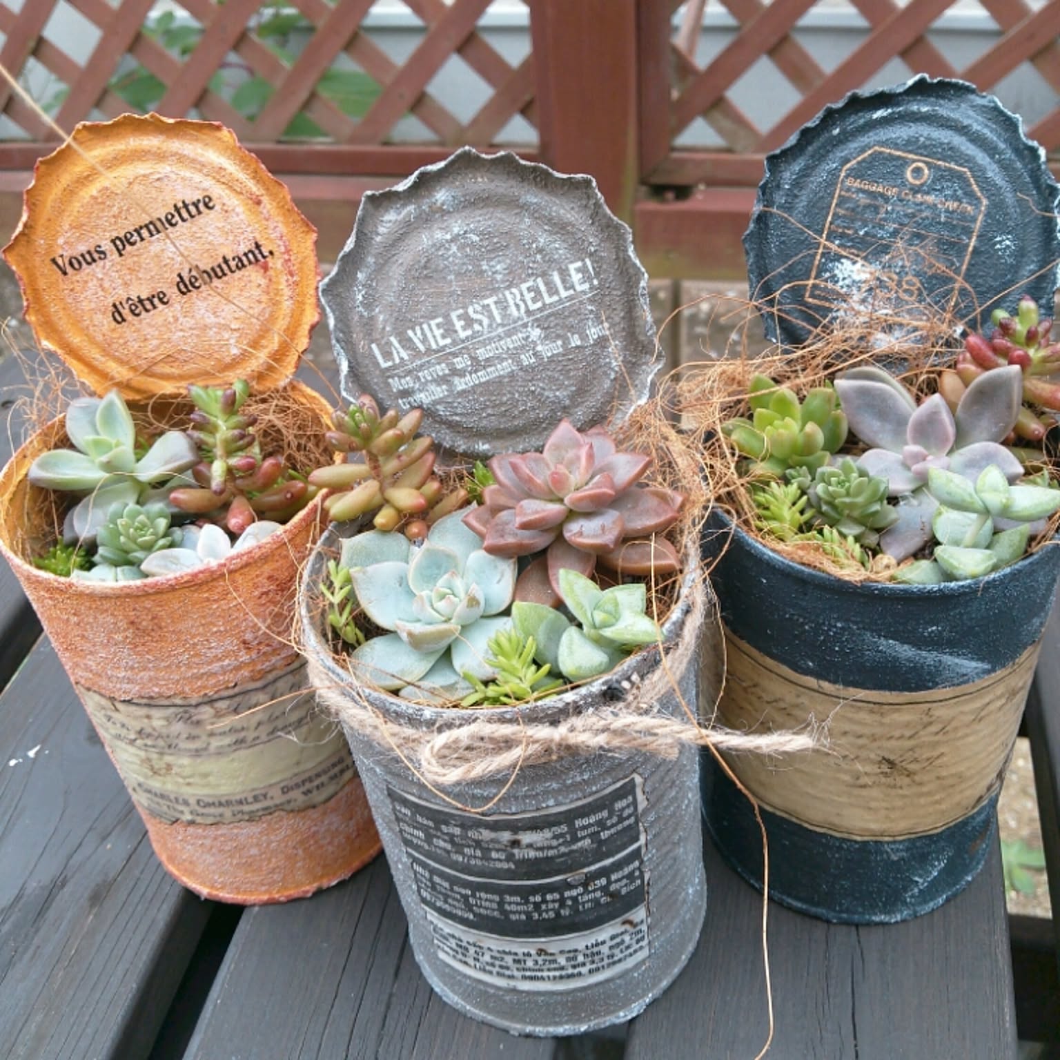 リメイク缶395☆多肉植物☆寄せ植え☆インテリア 【多肉植物