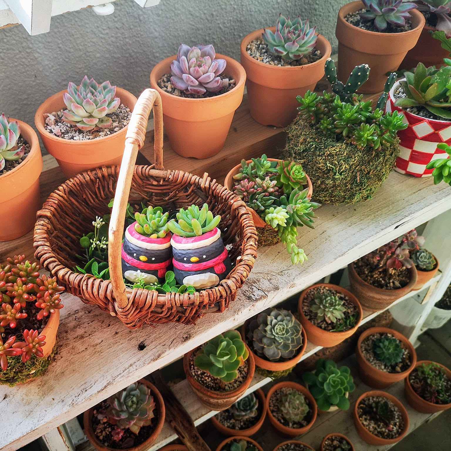 ペンギン雑貨のおすすめ商品とおしゃれな実例 ｜ RoomClip（ルーム