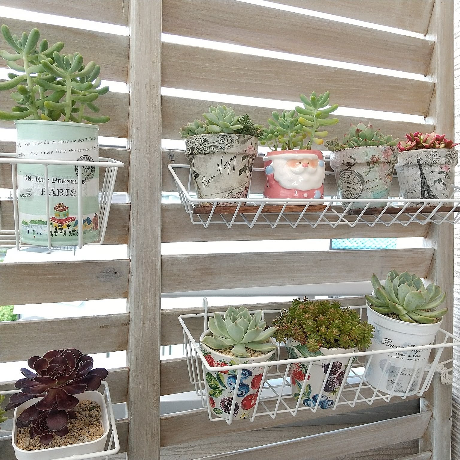 多肉植物 ワイヤーかごのおすすめ商品とおしゃれな実例 多肉植物 ワイヤーかごのおすすめ商品とおしゃれな実例
