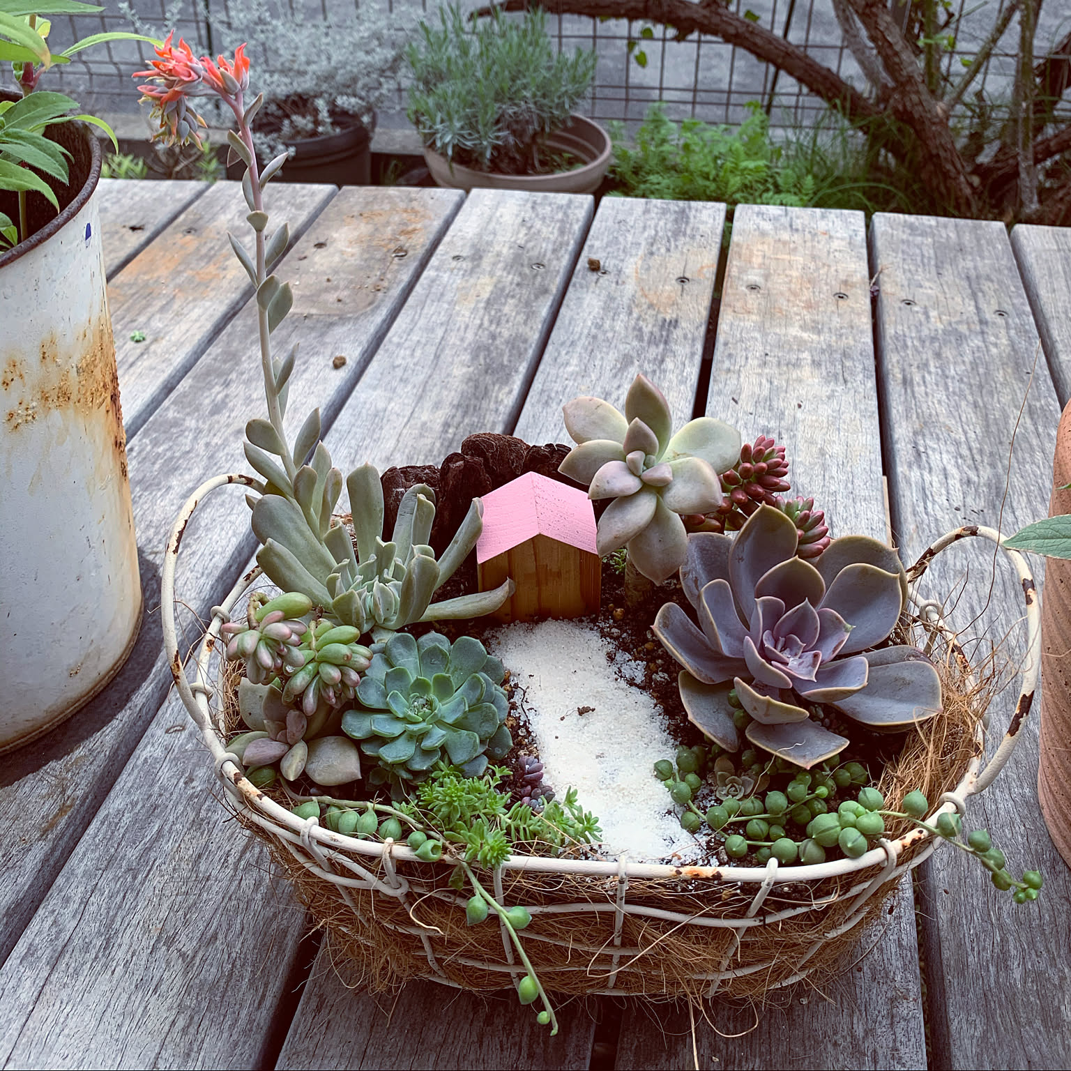 880bfa4e94cd4e3ad33582c16beb17