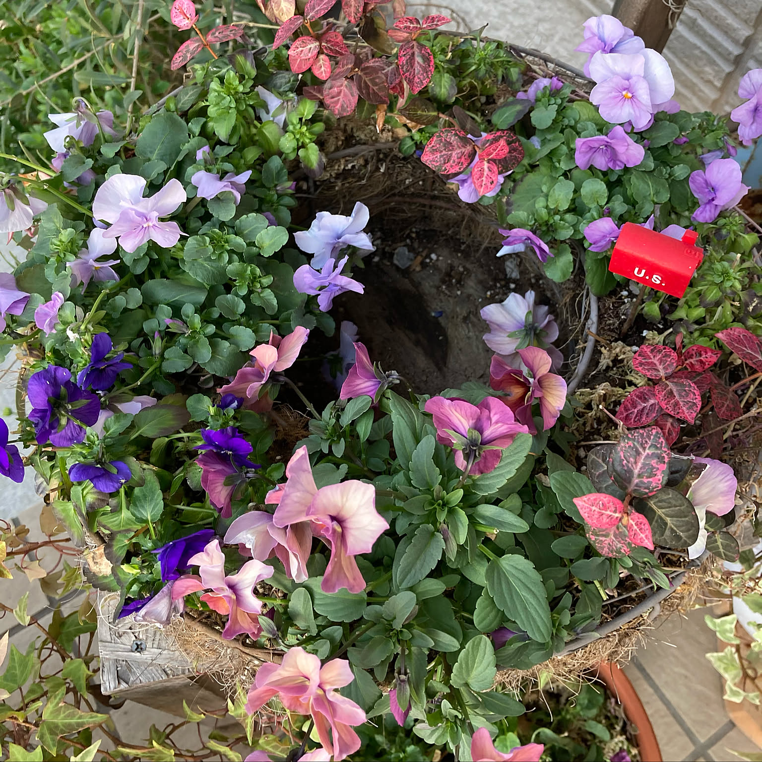 ビオラのリース型寄せ植えのおすすめ商品とおしゃれな実例 ビオラのリース型寄せ植えのおすすめ商品とおしゃれな実例