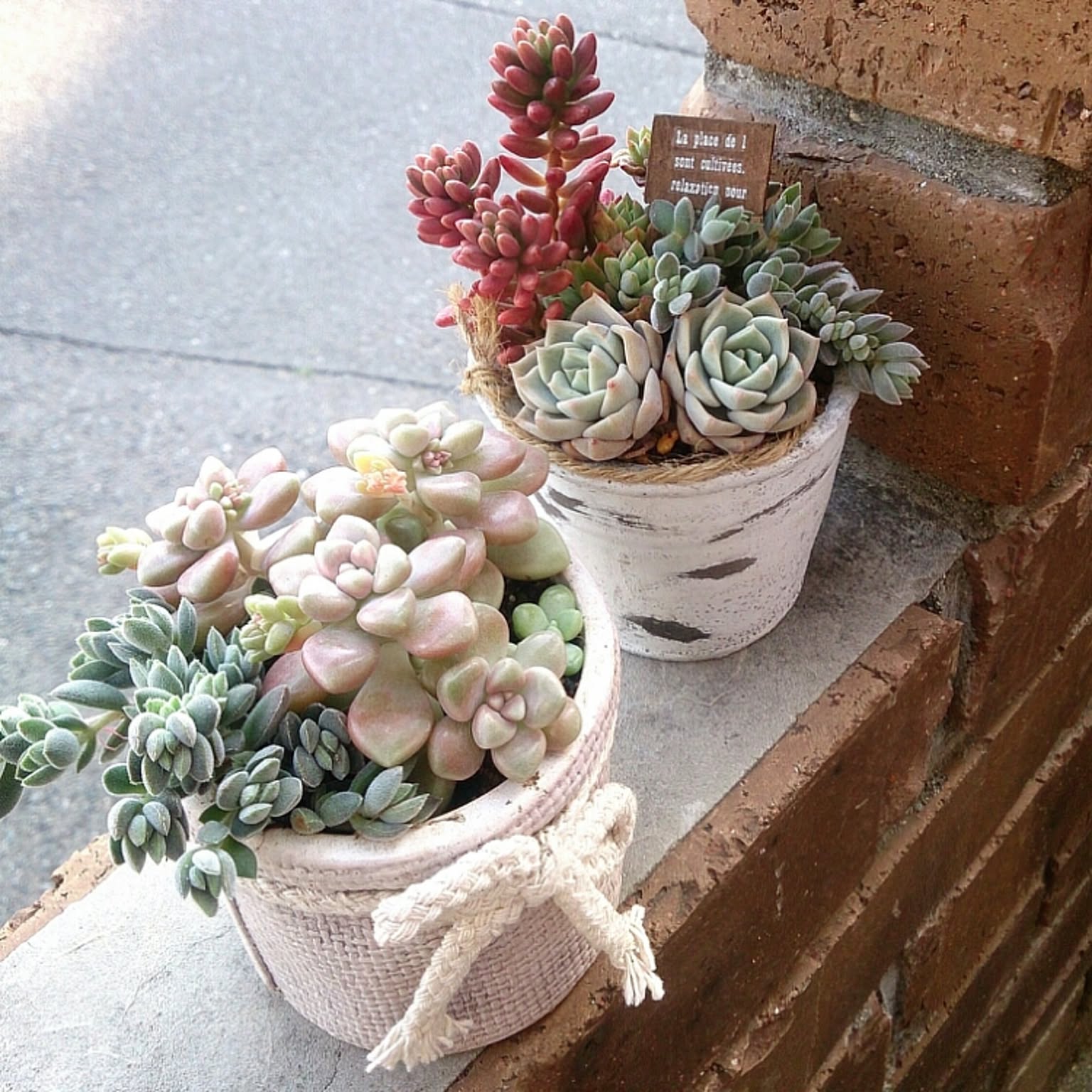 8974380da326e7ceeb9058966fdac7