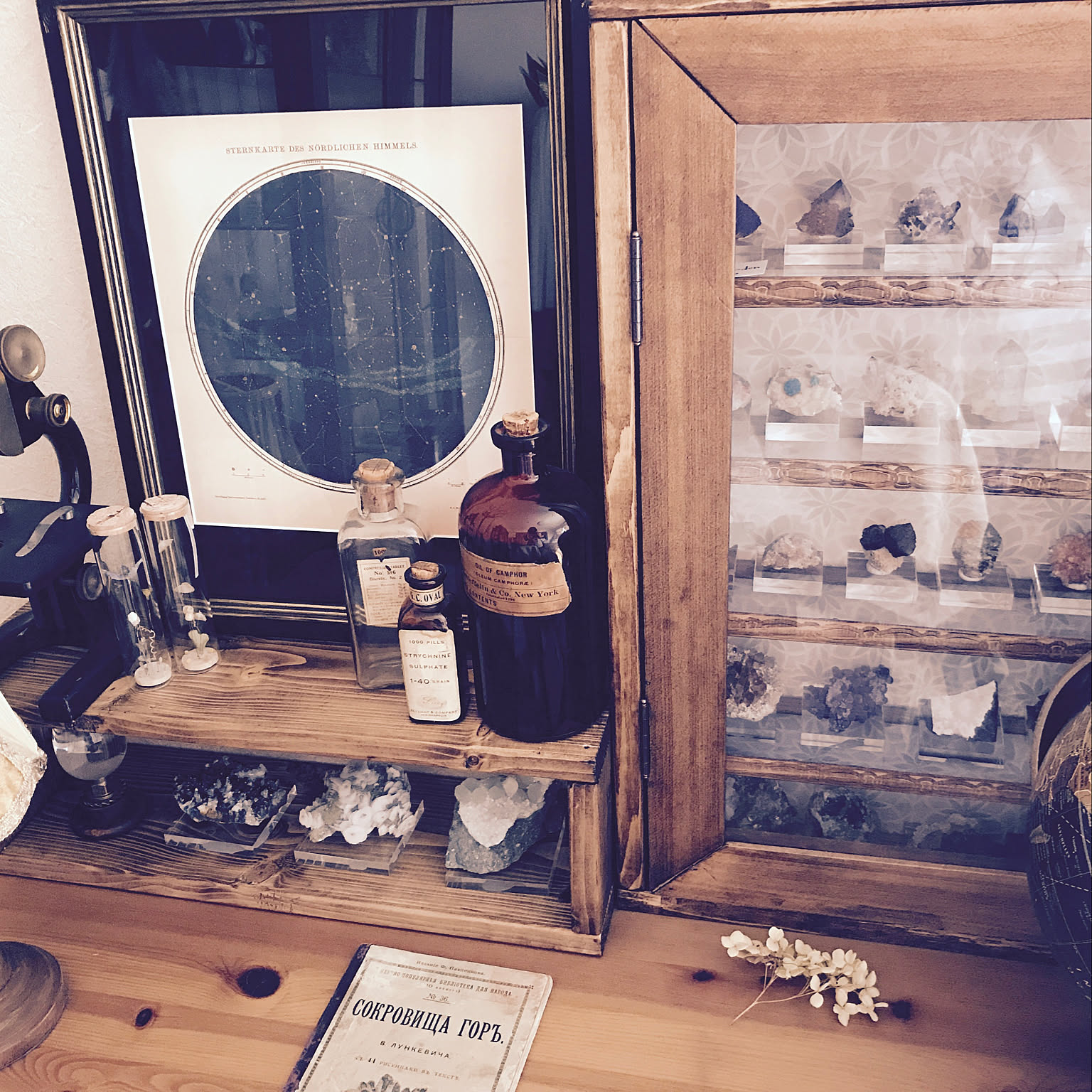 アンティーク 鉱物標本のおしゃれなアレンジ・飾り方のインテリア実例