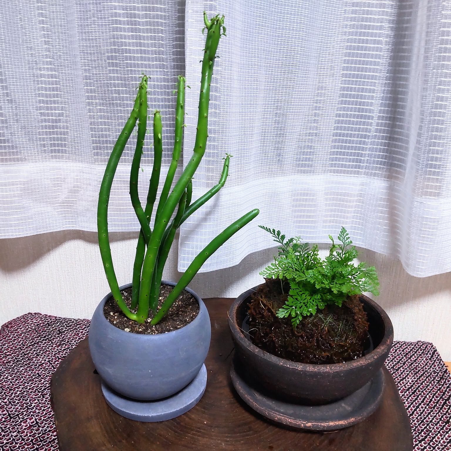 89e79224ad233f341ca0a27d79ea86