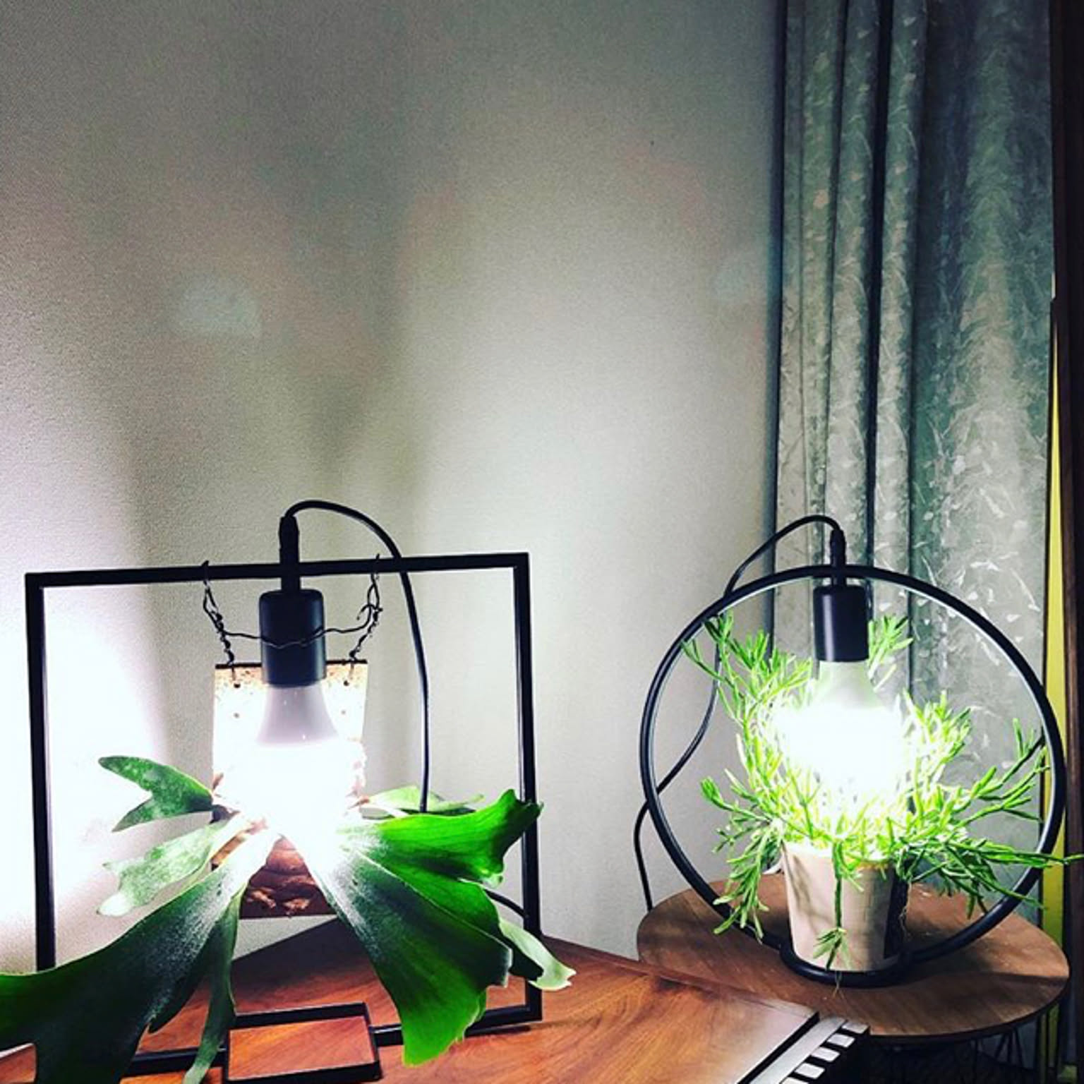 IKEA 植物育成ライトのおすすめ商品とおしゃれな実例 ｜ RoomClip