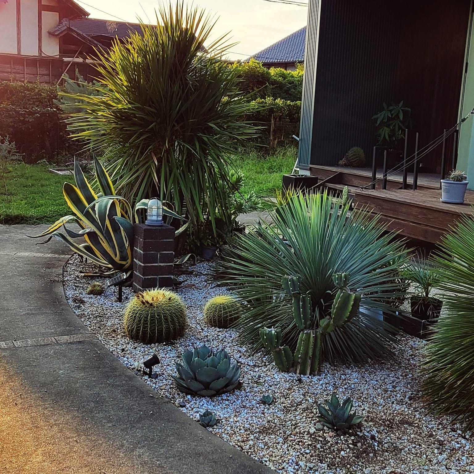 8a51dba9c8ad3113e511498902cd46