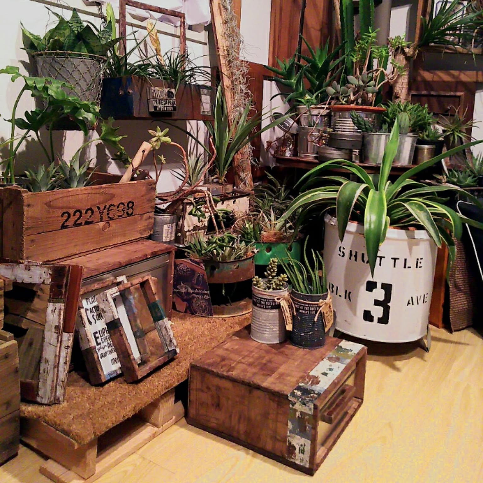 多肉植物 montaさんのおしゃれなアレンジ・飾り方のインテリア 多肉植物 montaさんのおしゃれなアレンジ・飾り方のインテリア