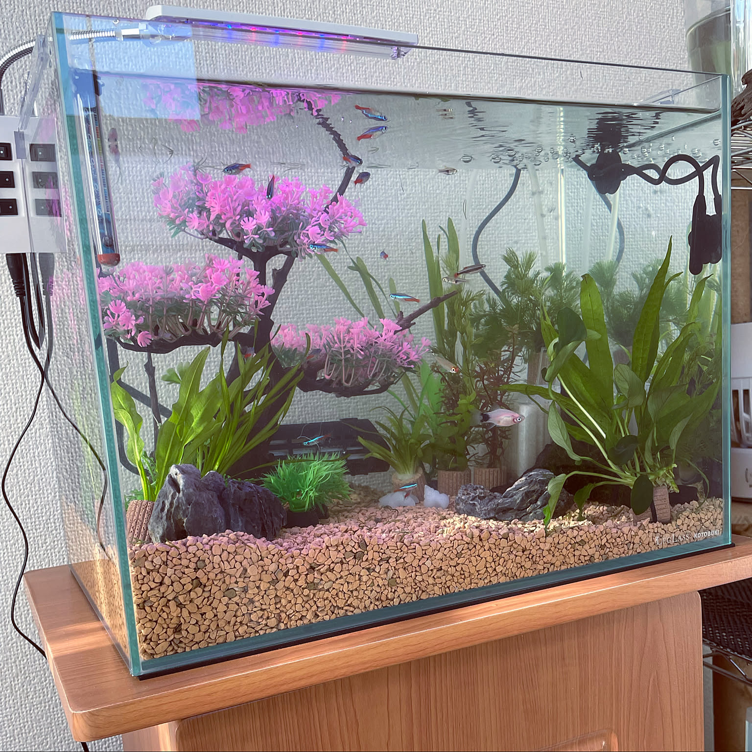 人工水草/桜のオブジェ/和葛彩/春バージョン/猫と魚との暮らしなど