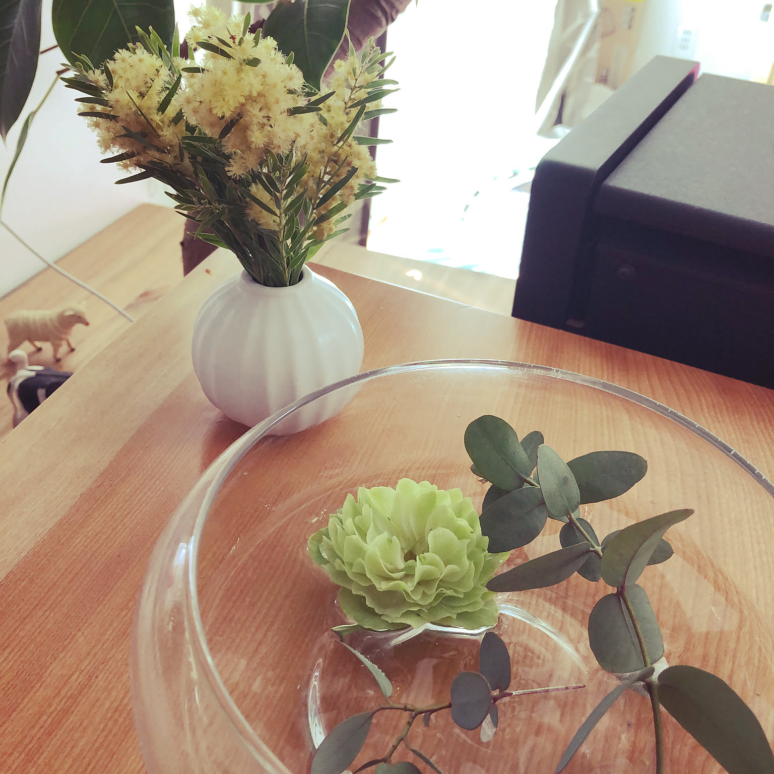 8b999ca1f7a8899f5ac7ef57689153