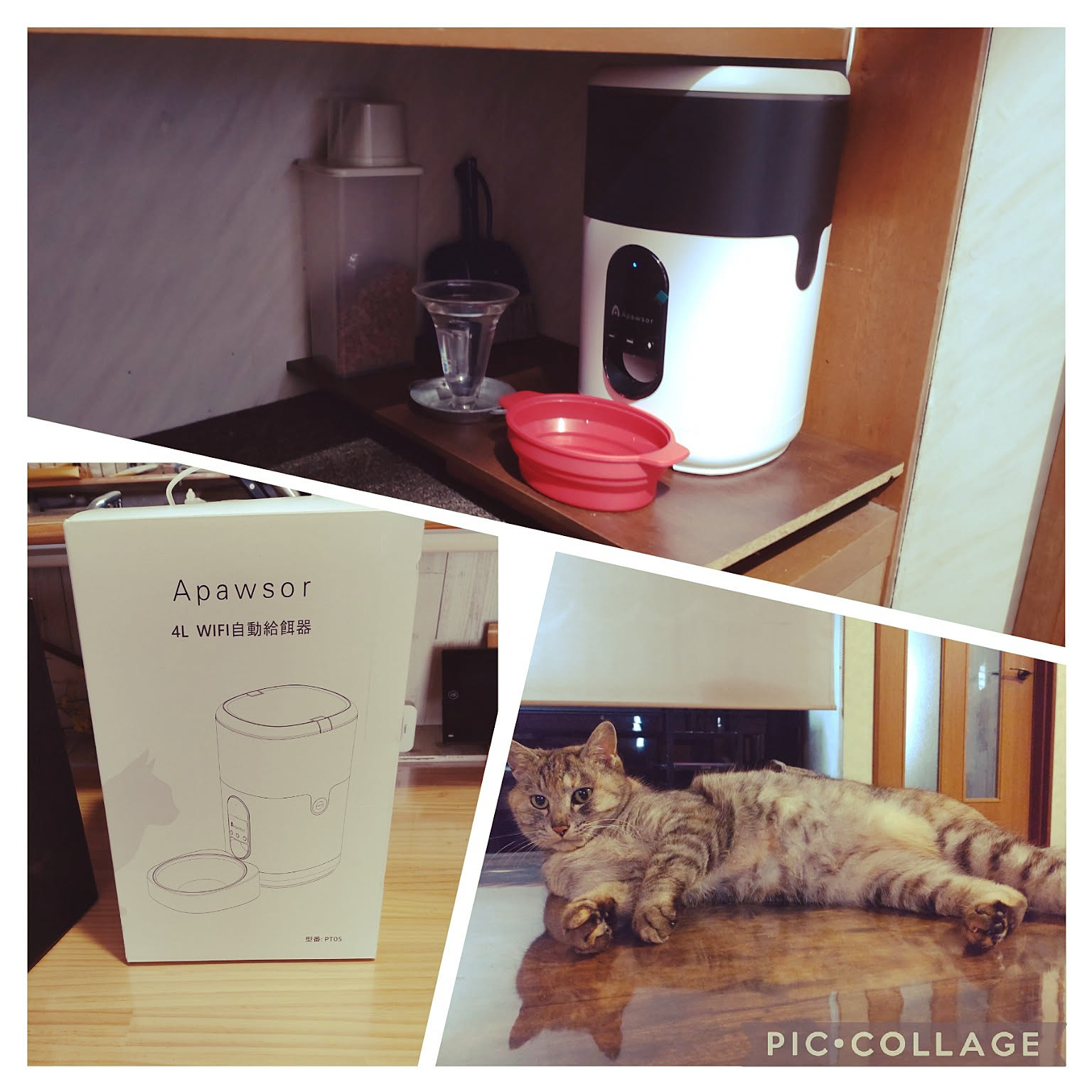 Amazon | 【スマホで遠隔操作】Apawsor 猫 自動給餌器 スマホで