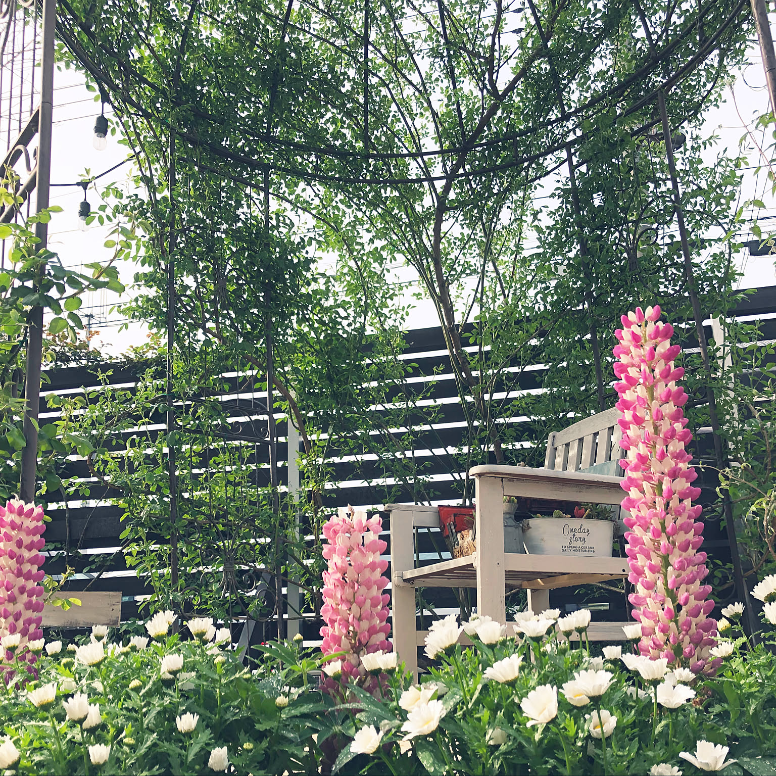 8c97746225827b5f2a3a6dcad13891