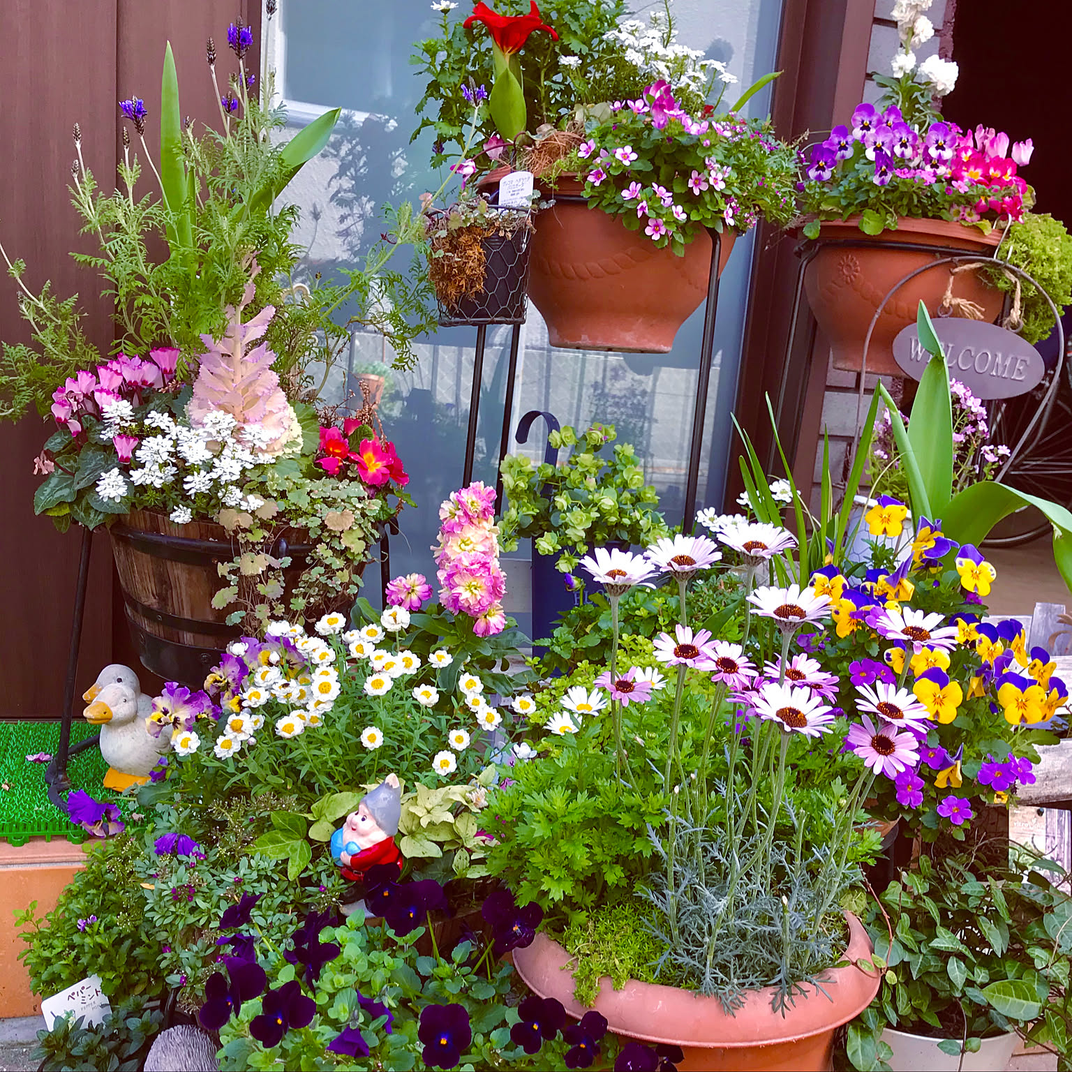 ガーデニング大好き❤/狭い玄関(^o^;)/庭のない家/花のある暮らし/お花