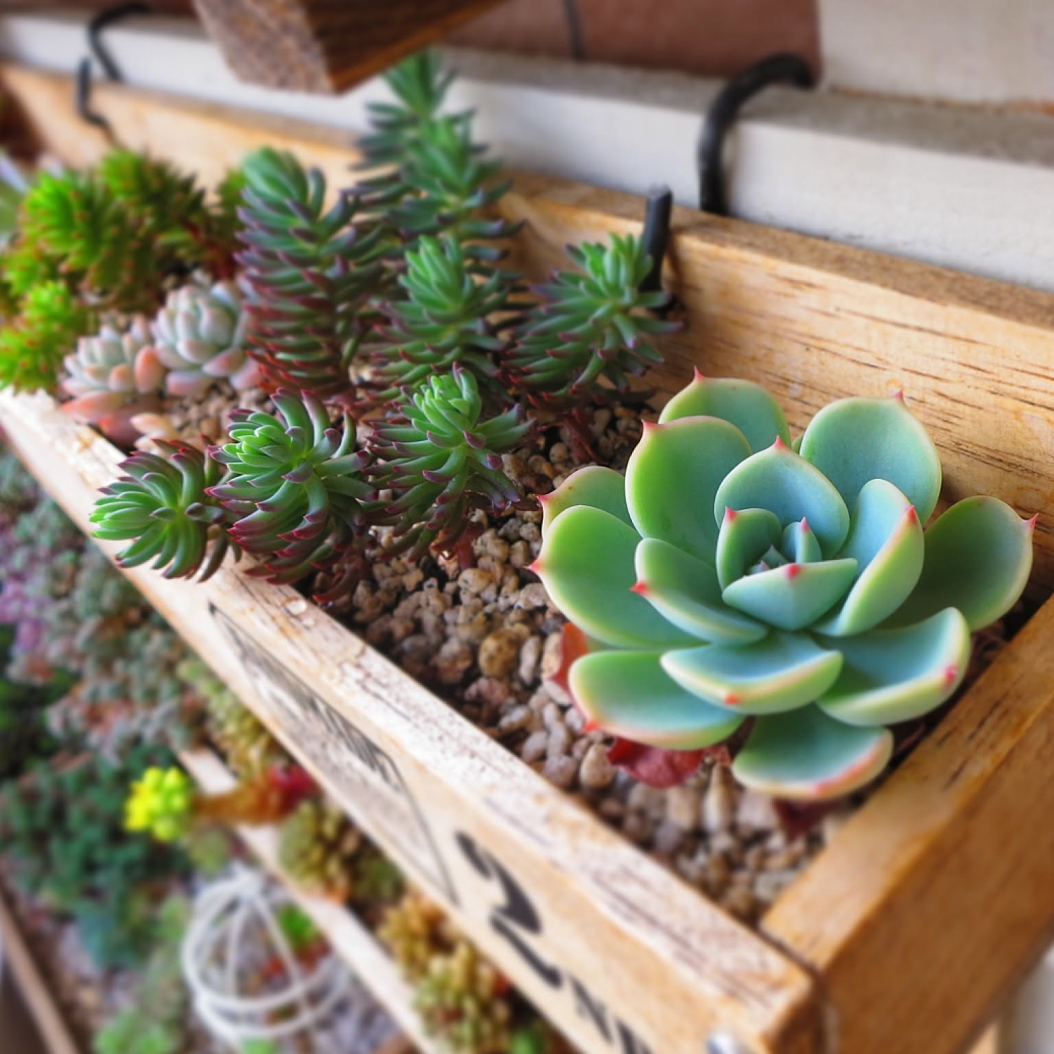 8cc2672d48fdb5dd86164ea4454ad9