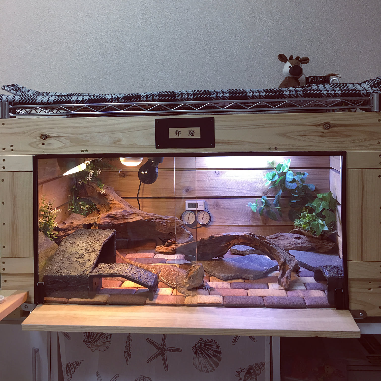 DIY フトアゴヒゲトカゲのインテリア・手作りの実例 ｜ RoomClip