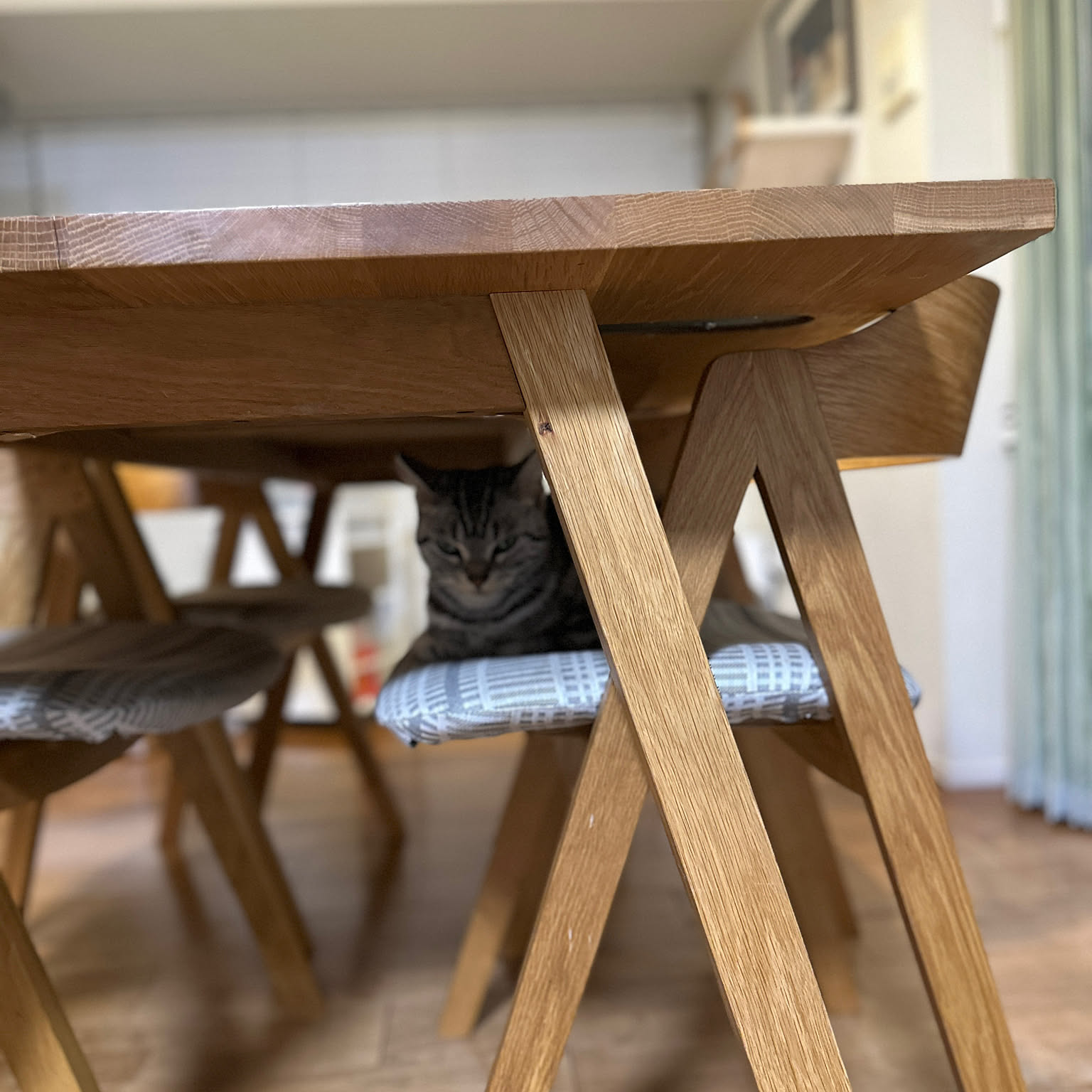 unicoダイニングチェアのおすすめ商品とおしゃれな実例 ｜ RoomClip