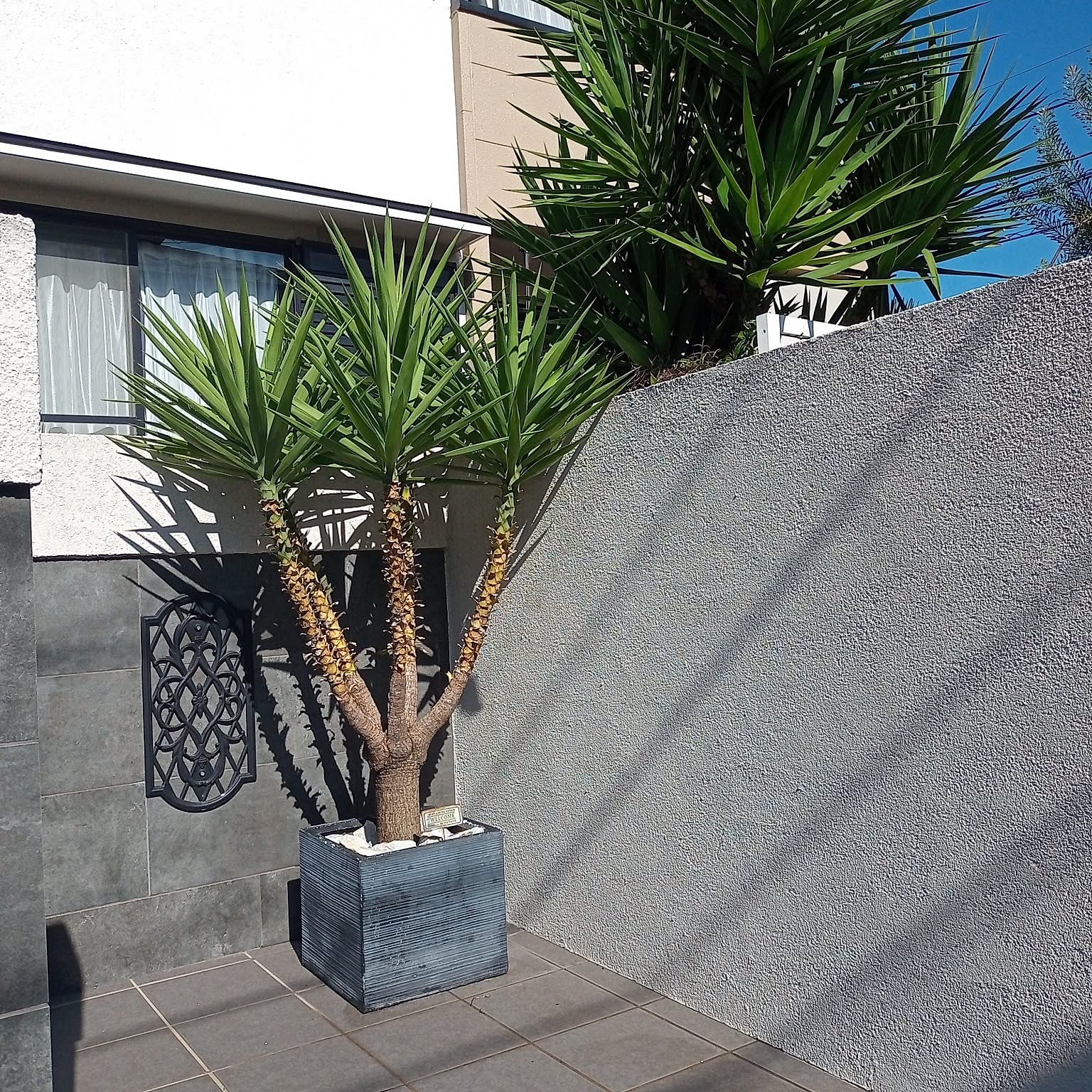 8f57afb1e3f982a8cd3cfe2e2b0380