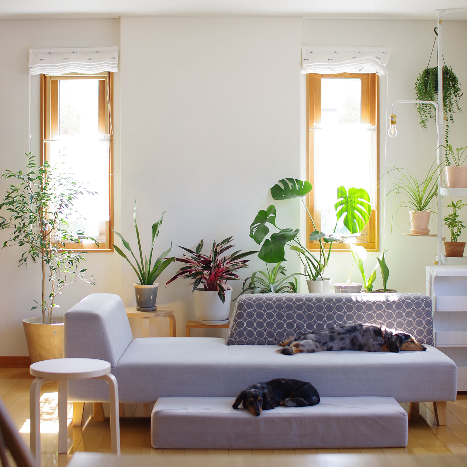 8f6a34dd951bee5c496e0ce949a1ea