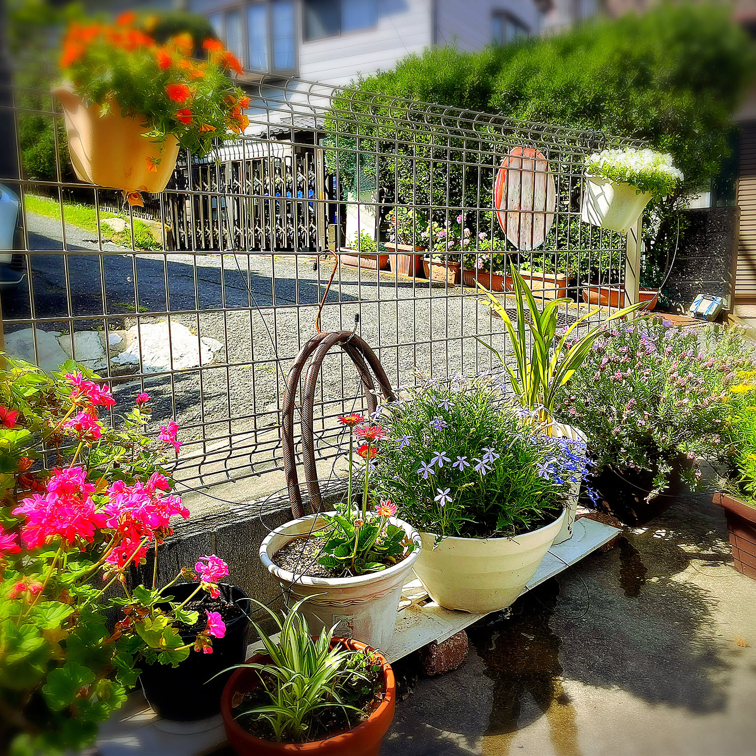 905dfae5dd59468a916a9e927efa96