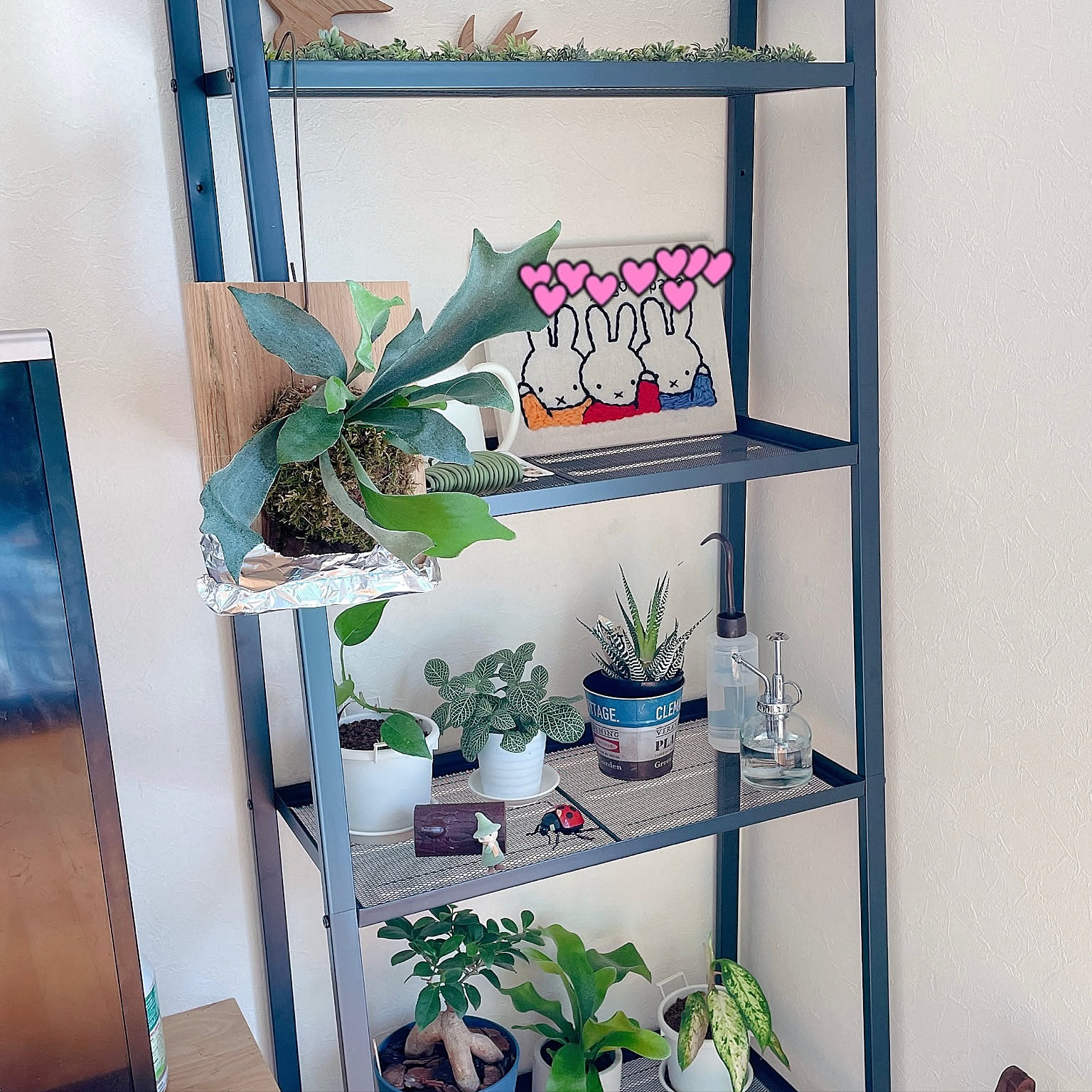 ビカクシダラック　ルミナスラック　植物育成ライト　生活雑貨 洗濯用品 物干し竿、ロープ ビカクシダラック ルミナスラック 植物育成ライト 生活雑貨 洗濯用品