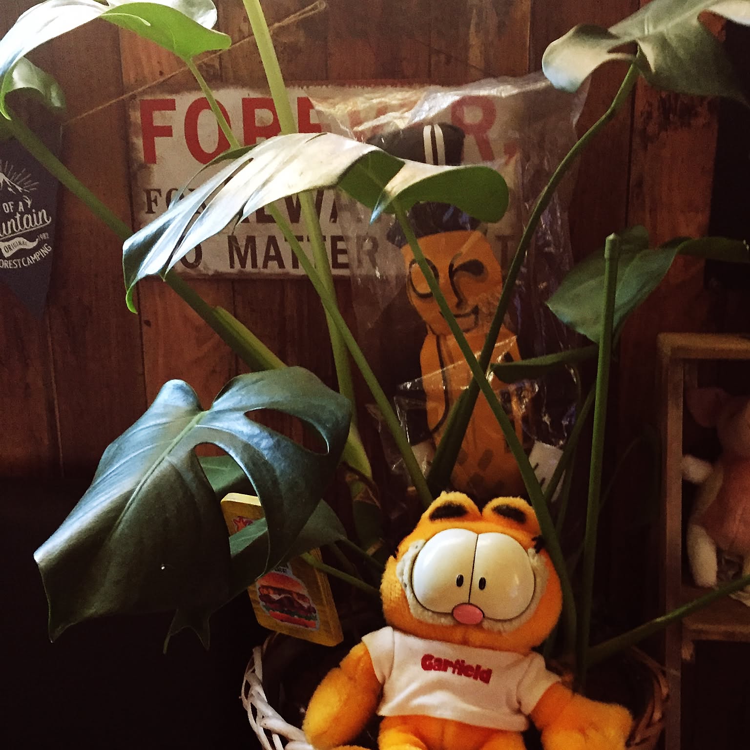 91b5d3dcfc9d1c36ffa55f4ce3c02a