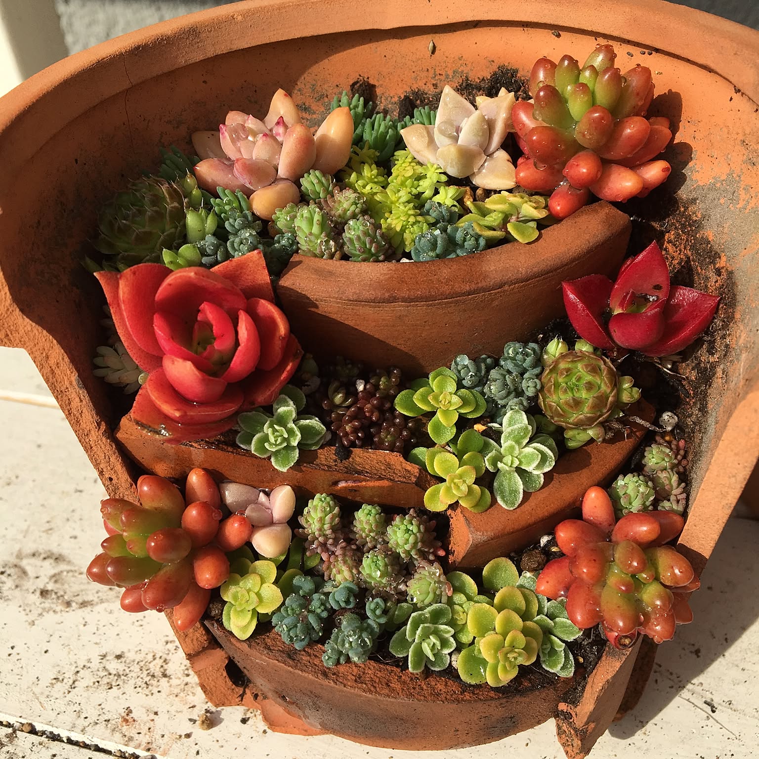 91c1e1a1accf7e76ba38ef4fc14133