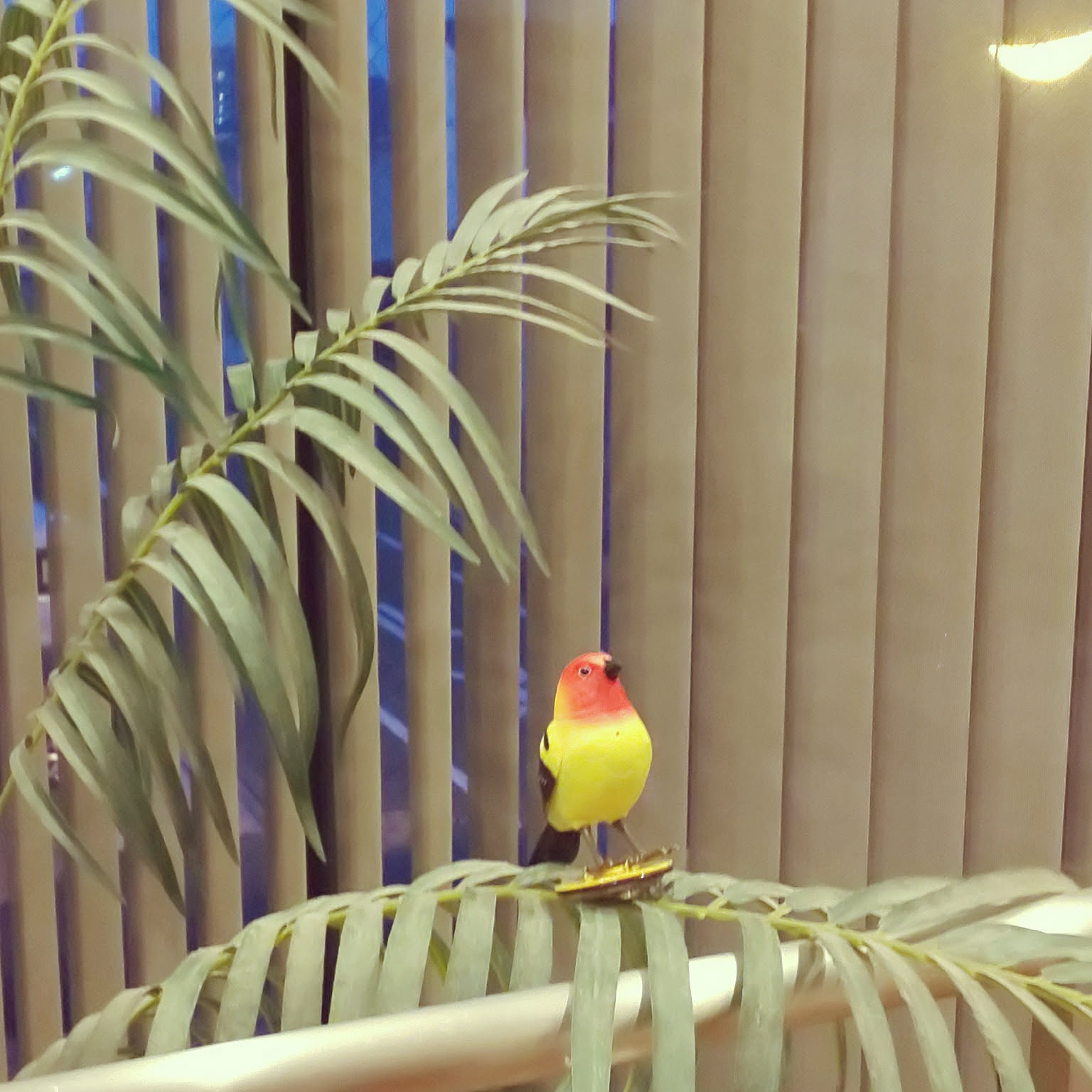 鳥 フランフランの商品を使ったおしゃれなインテリア実例 ｜ RoomClip