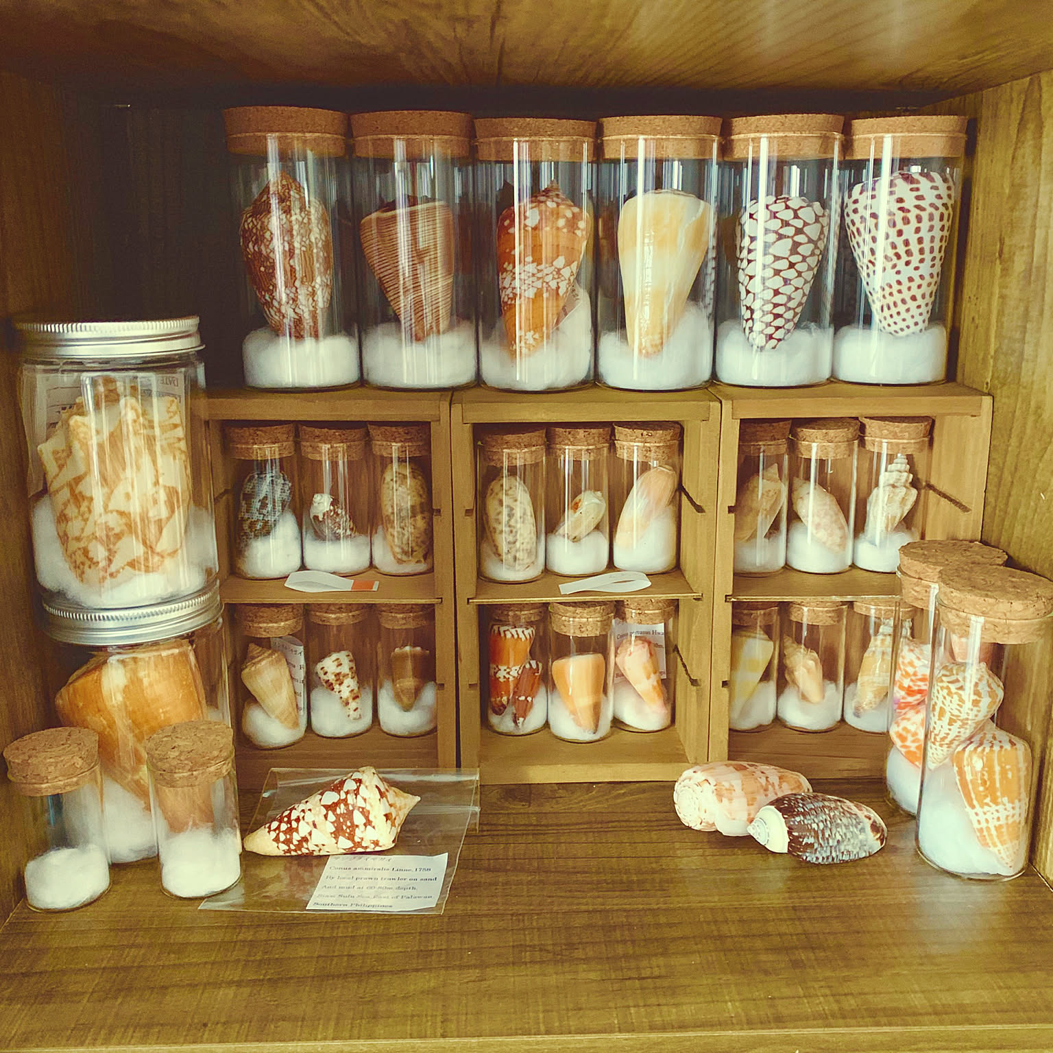 92f422824b881168ae6cfce9de4e92