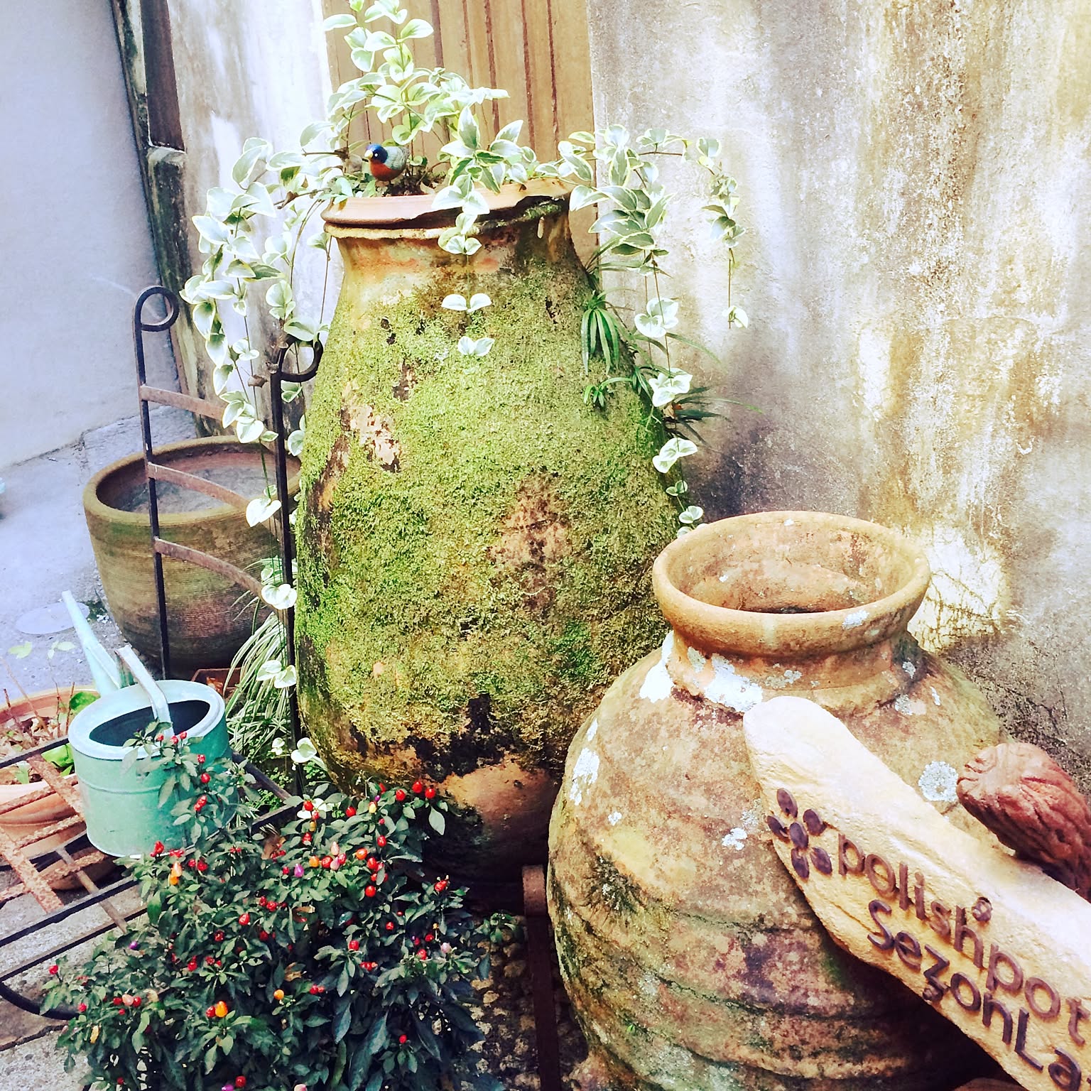 たこ壺　陶器　フジツボ付き　植木鉢　 貝殻　オブジェ　ガーデニング たこ壺 陶器 フジツボ付き 植木鉢 貝殻 オブジェ ガーデニング