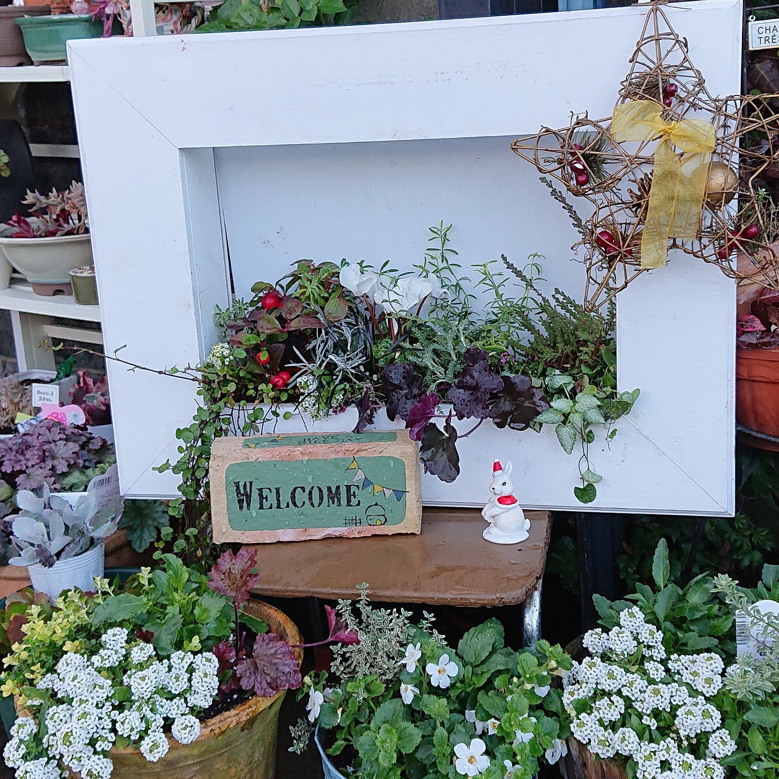 額縁プランター 額縁プランター寄せ植えのおすすめ商品とおしゃれな