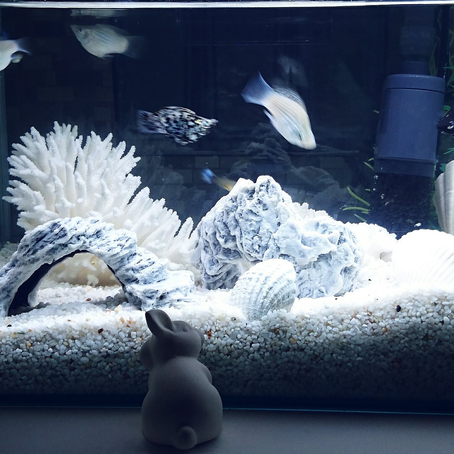 94260f11c704d4f2413b48c70d4401