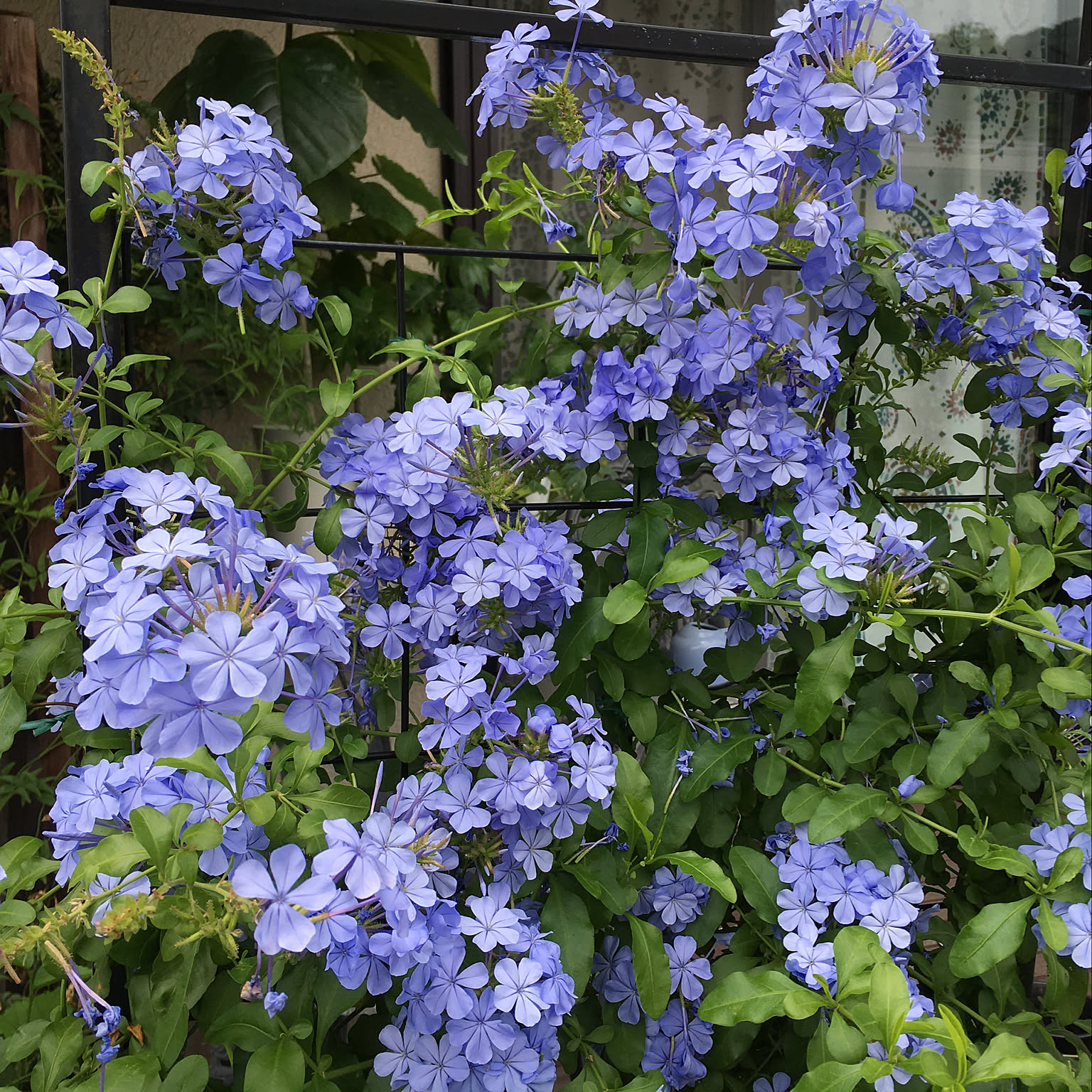 9434c151e8ba8bd1361002a841ba3b