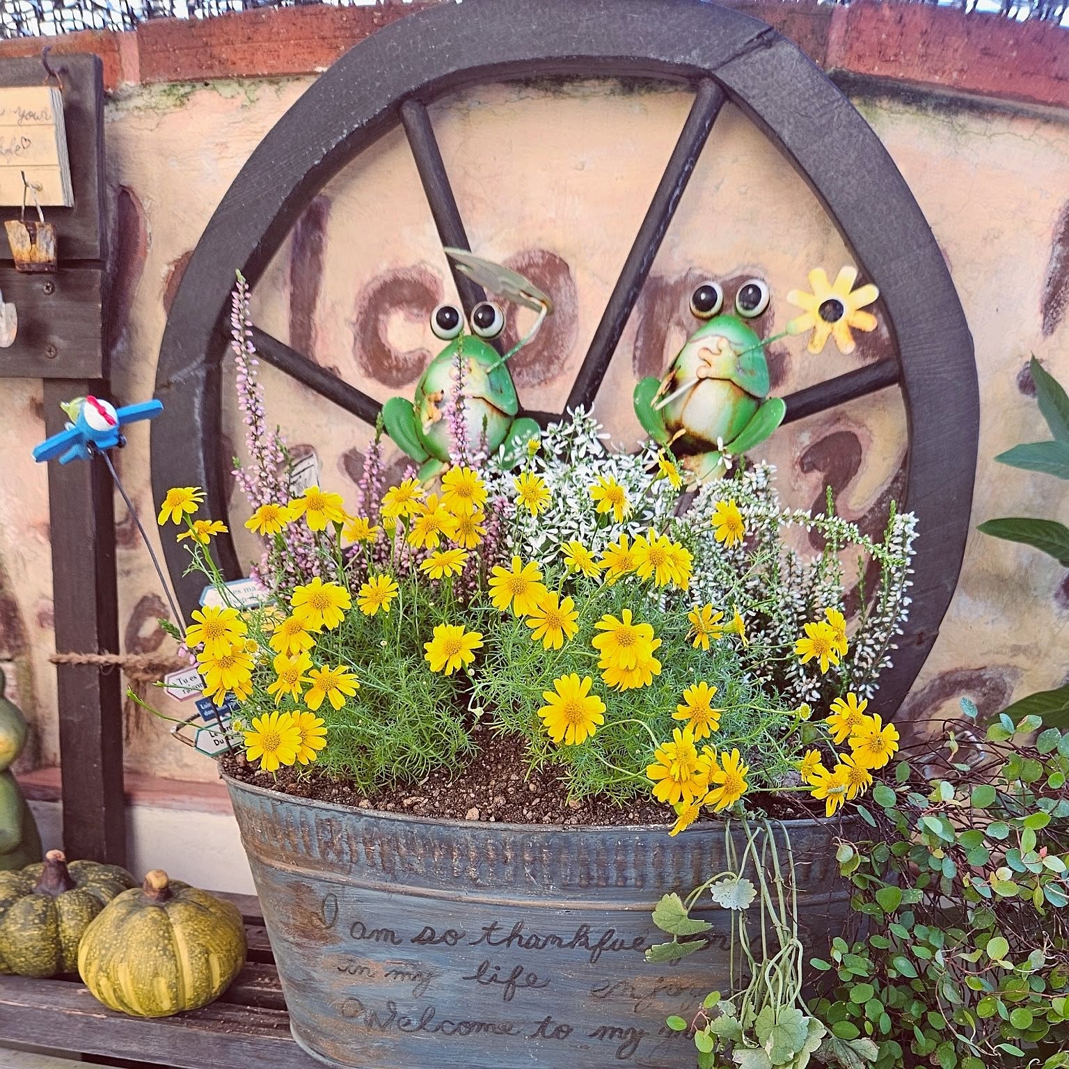 ブリキ鉢 寄せ植えのおすすめ商品とおしゃれな実例 ｜ RoomClip