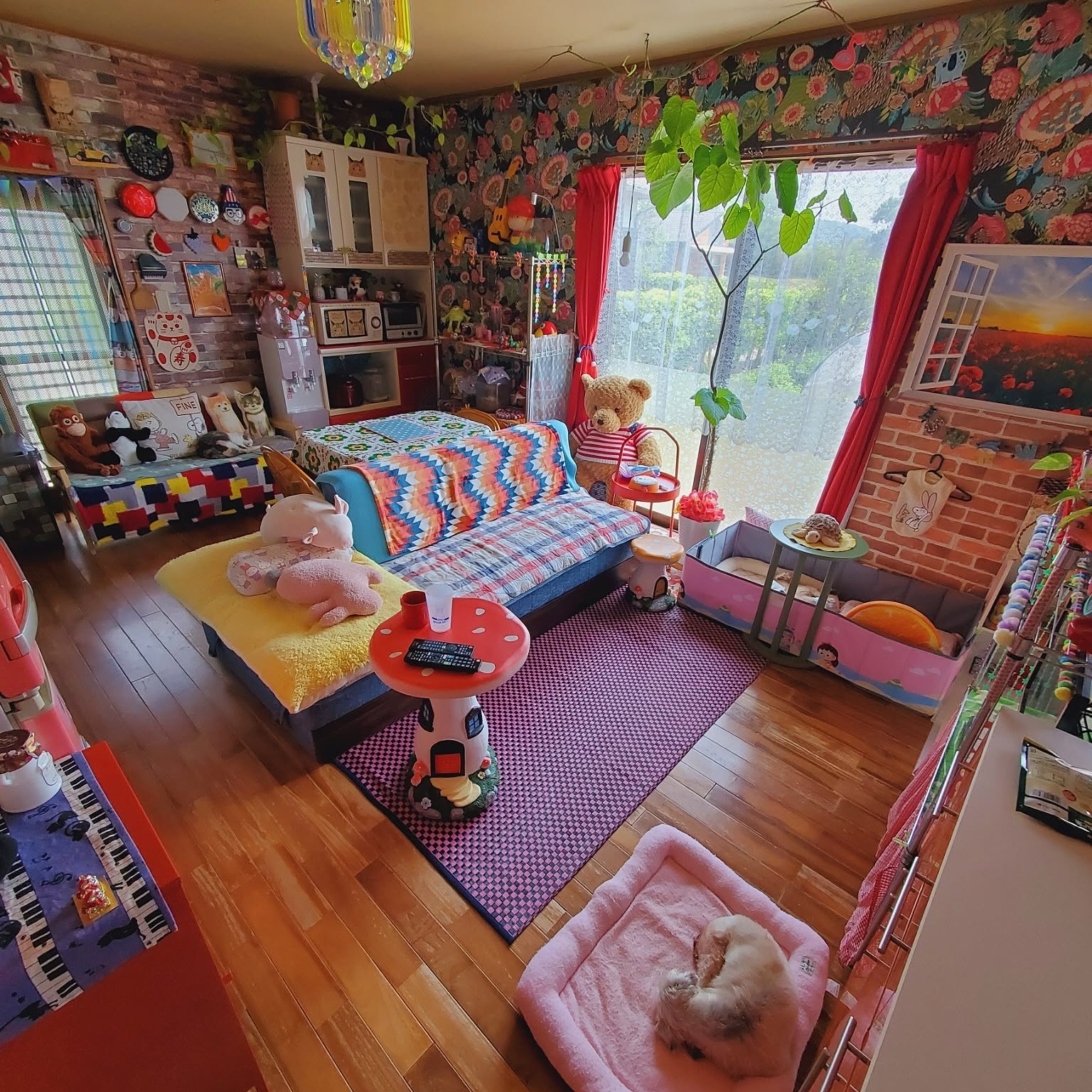 部屋全体/カラフルインテリア/色好き/赤が特に…好き/いぬとね