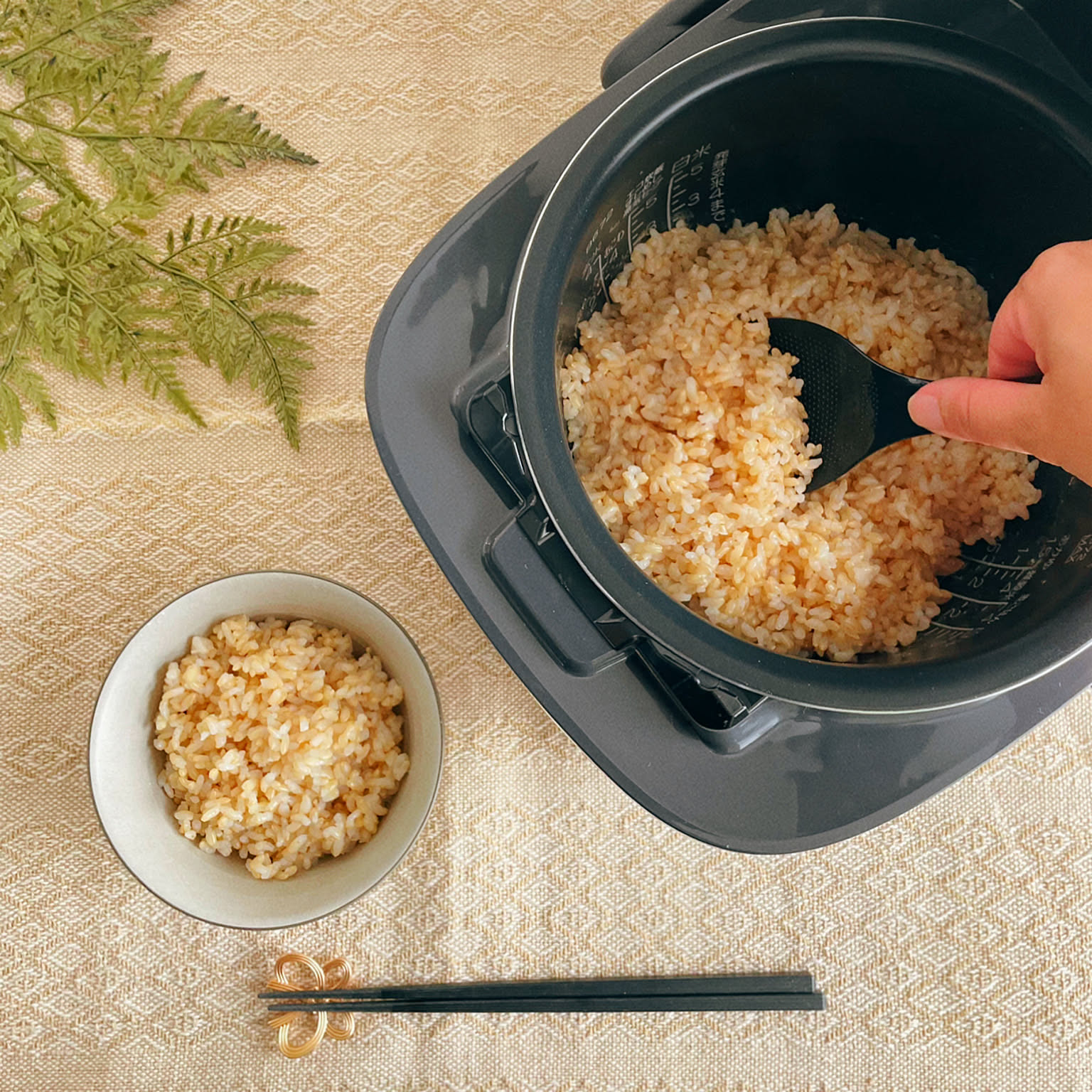 Japanese kitchen with compact rice cooker on counter