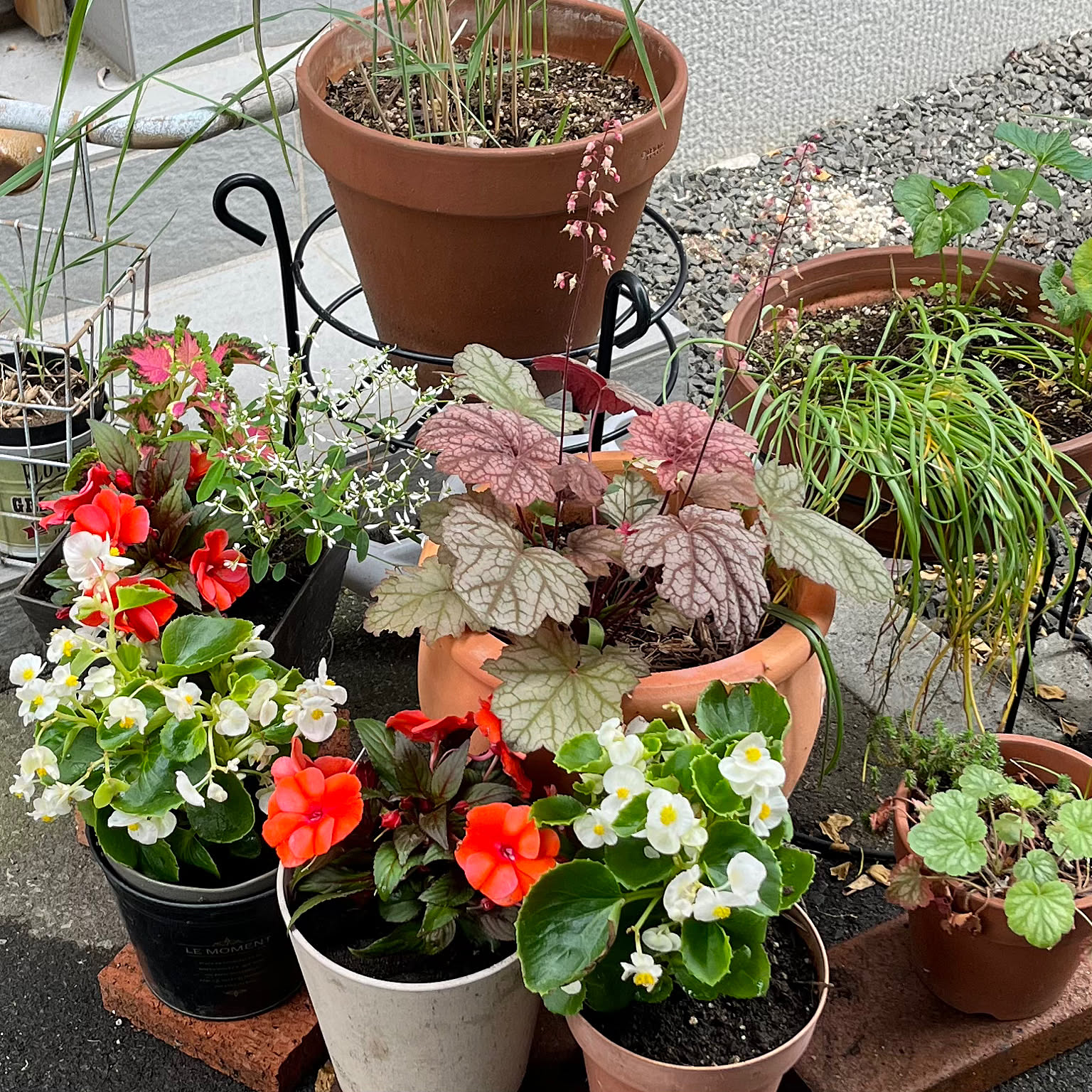 テラコッタ鉢 フラワースタンドのおすすめ商品とおしゃれな実例