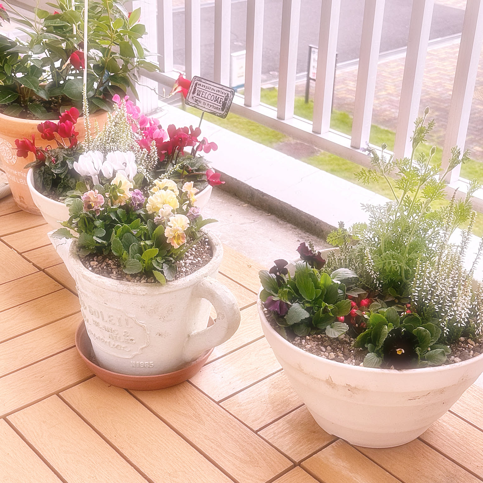寄せ植え カルーナブルガリスのインテリア実例 ｜ RoomClip（ルーム