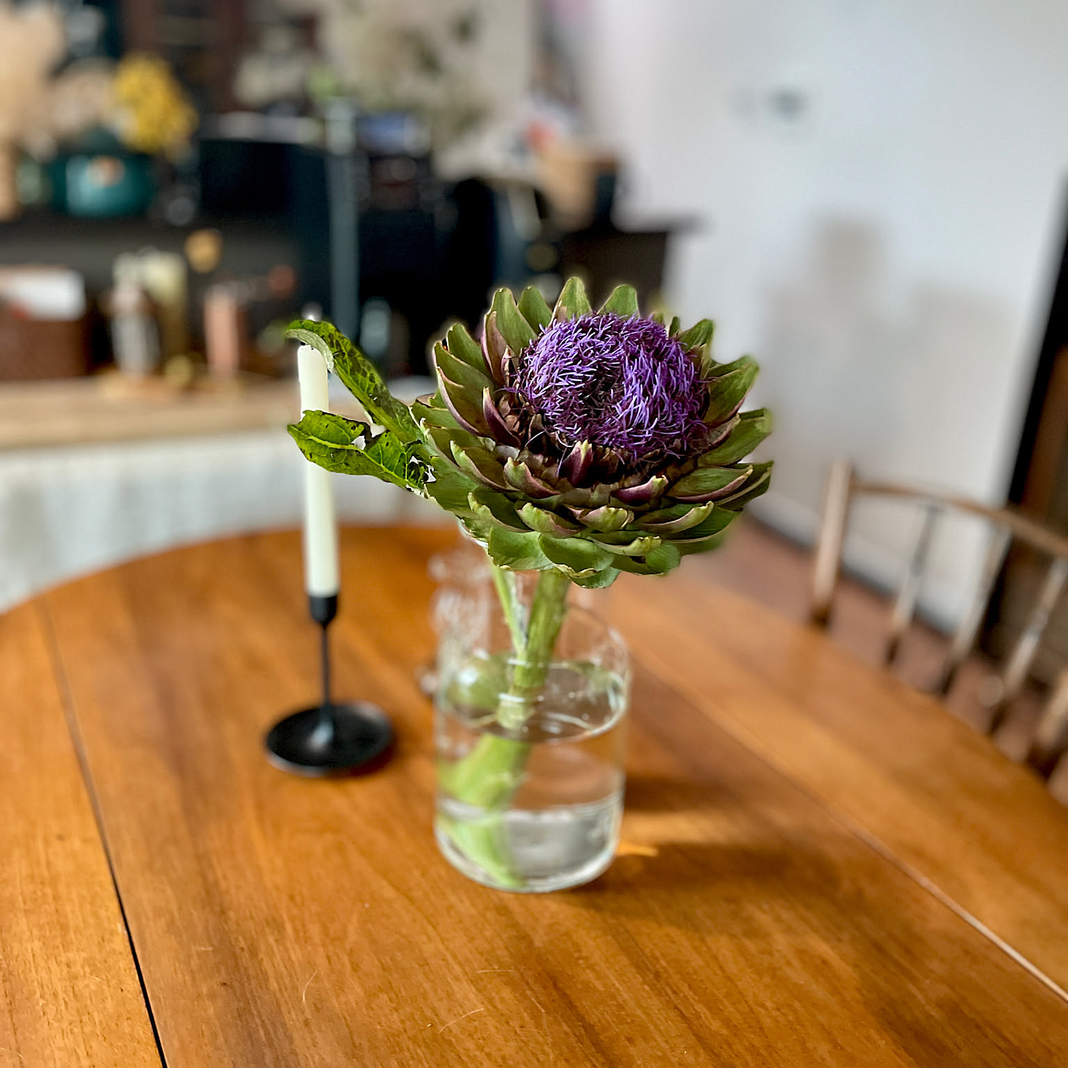 専用＊感謝Sale＊アーティーチョーク シック ドライフラワースワッグ