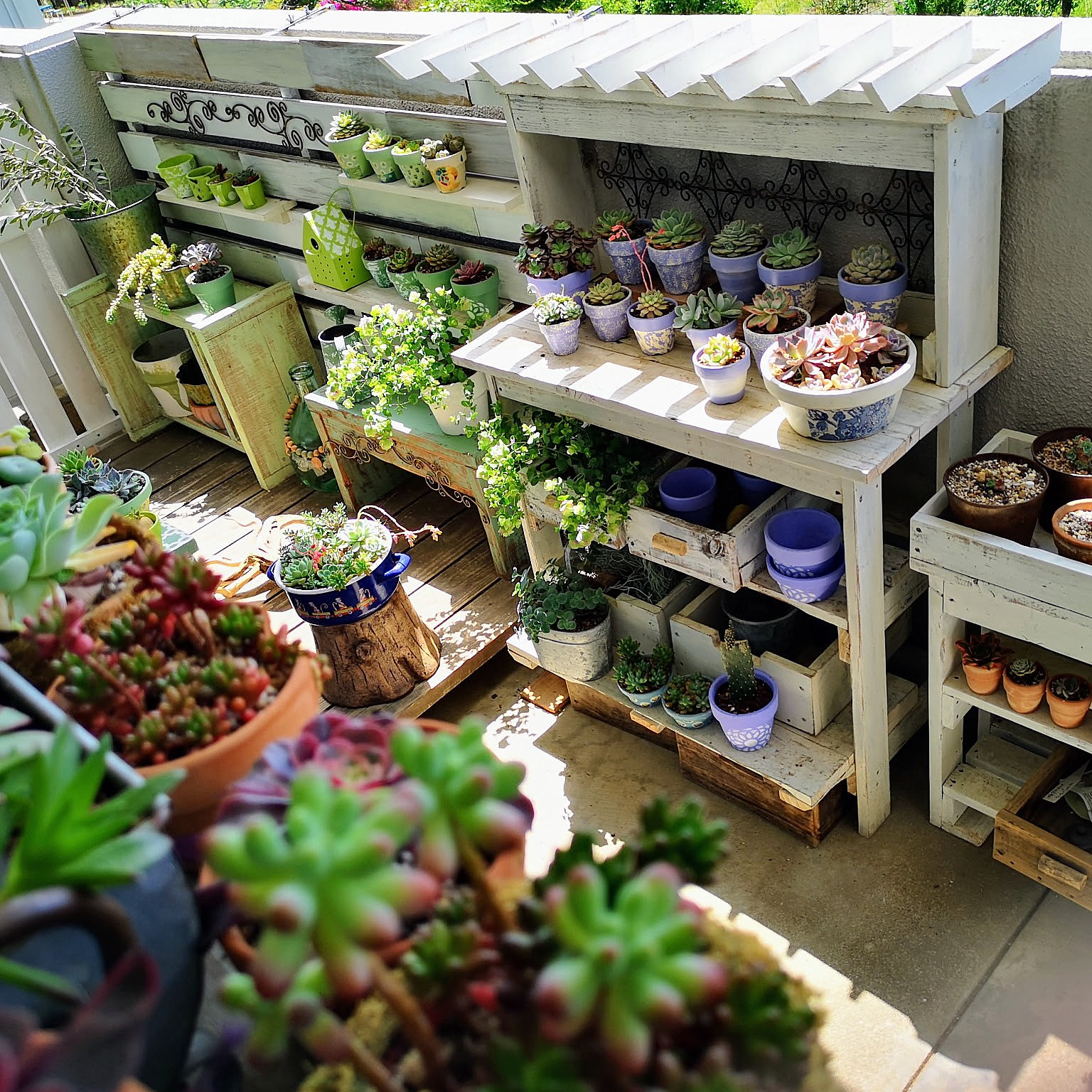 98795dee4dac10cea89381acac1f56