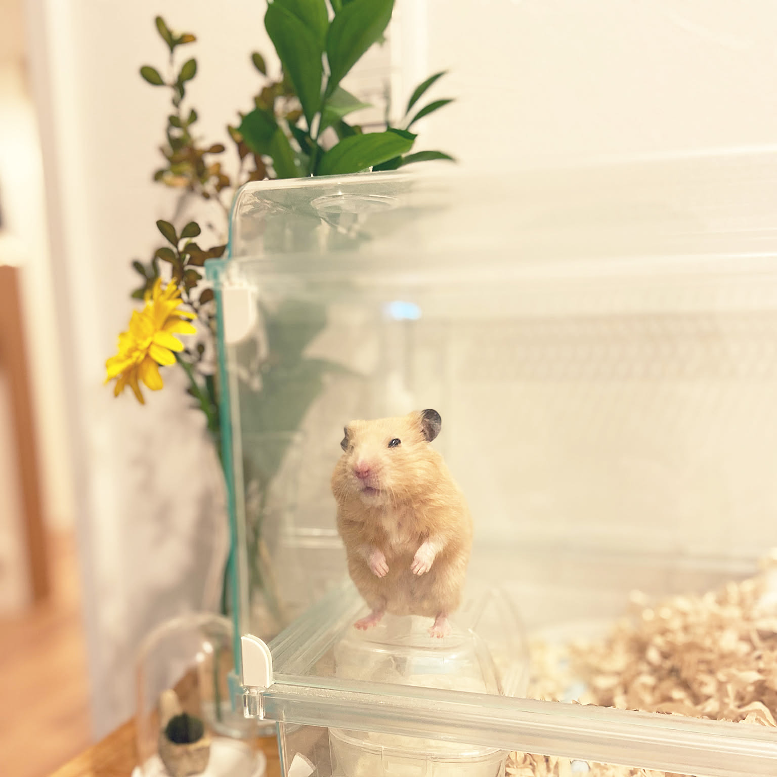 99c005d837db1f73ff399a8cf97bb8