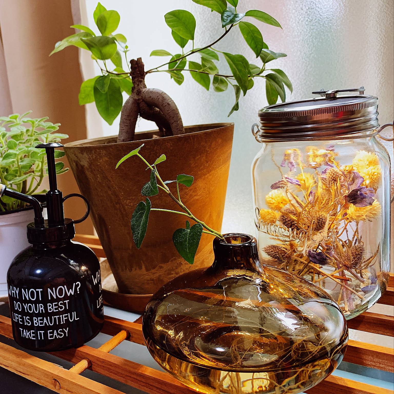 アクタスの植木鉢のおすすめ商品とおしゃれな実例 ｜ RoomClip（ルーム