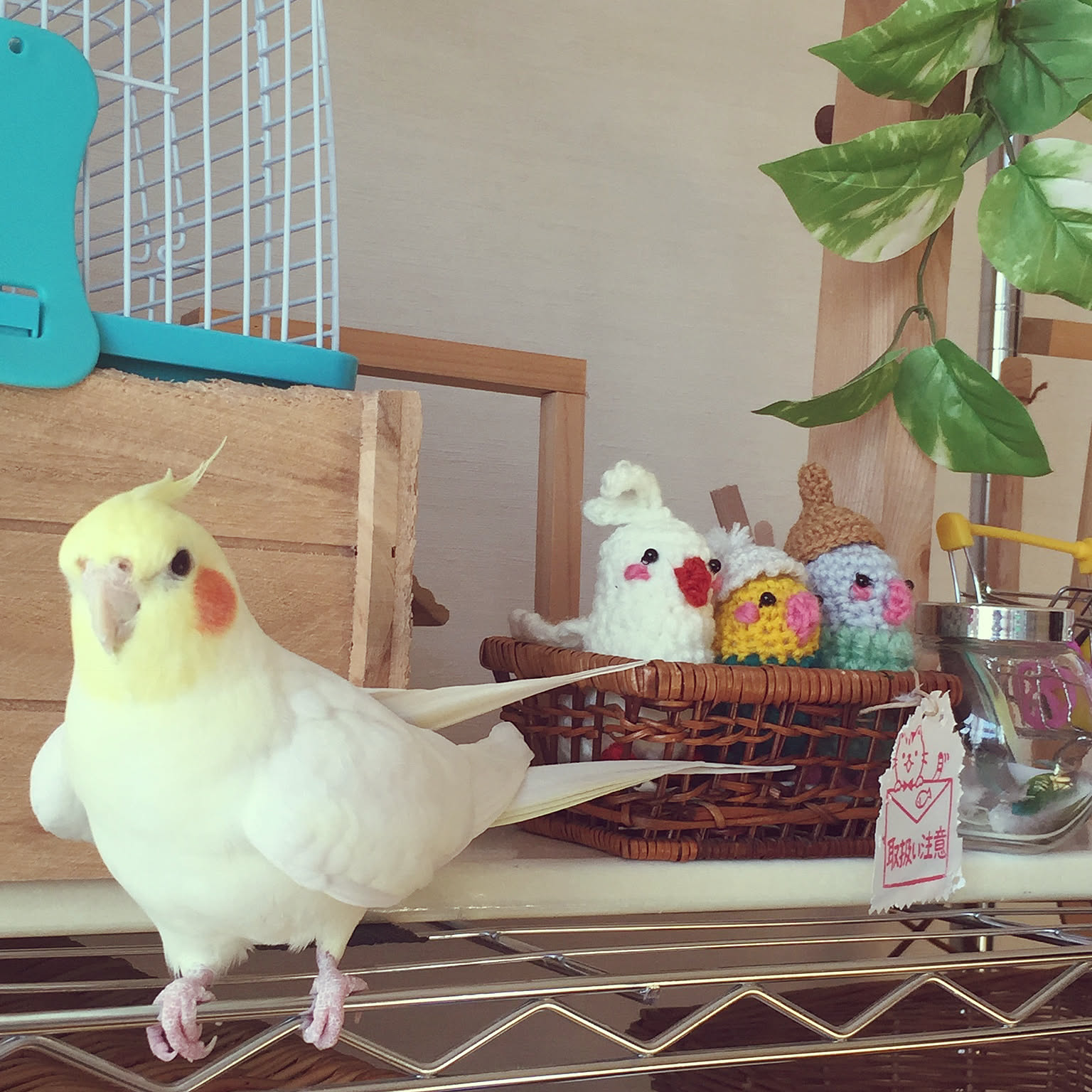 編みぐるみインコのおすすめ商品とおしゃれな実例 ｜ RoomClip（ルーム