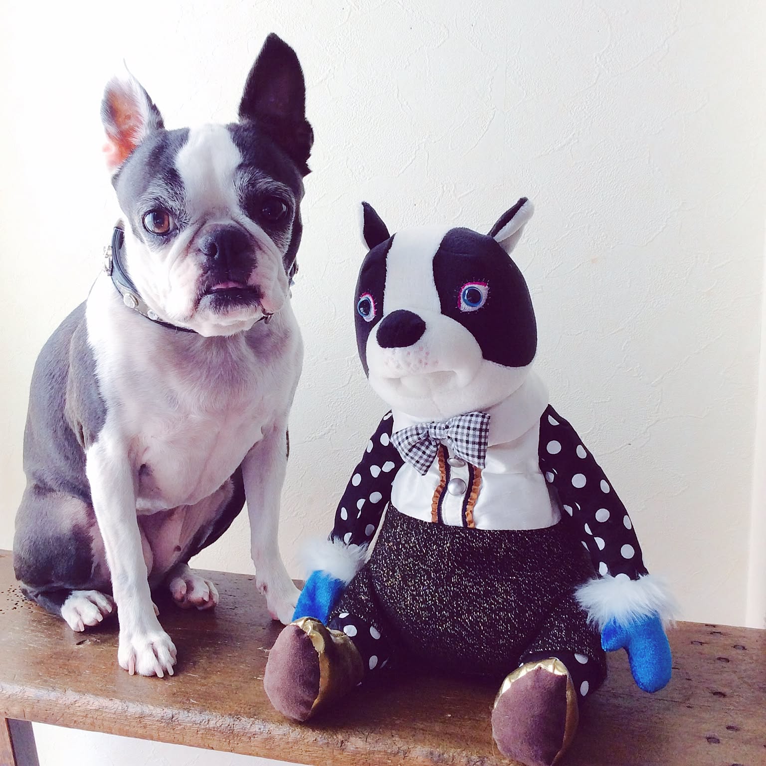 9ac83d4a44bb82a2fc39c484e788b2