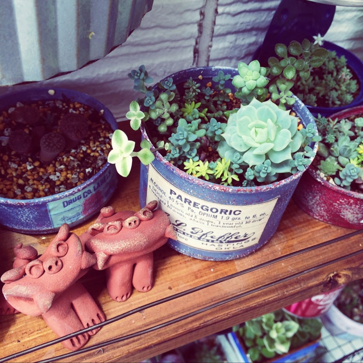 シーサー 寄せ植えのおしゃれなアレンジ・飾り方のインテリア実例