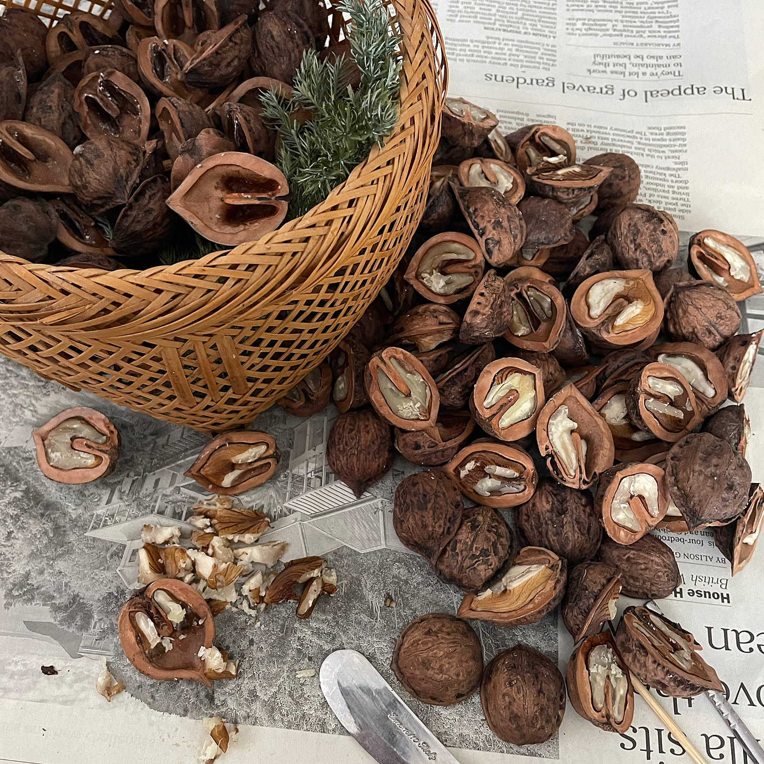 クリップカーテン作品見本  ホヌ柄 ハンドメイド☆くるみの森 クリップカーテン作品見本 ホヌ柄 ハンドメイドくるみの森