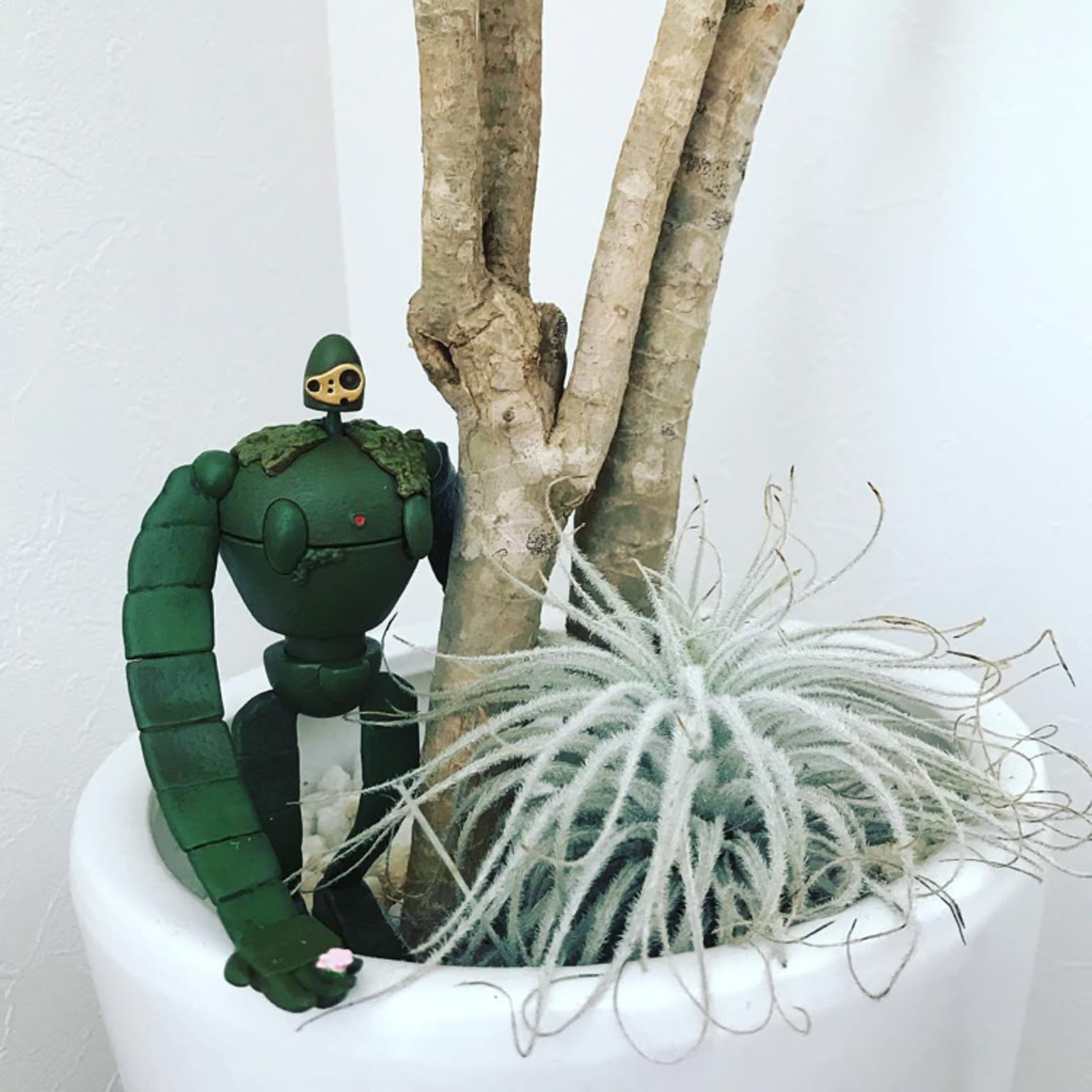 ラピュタ　プランター　リメイク ラピュタ プランター リメイク