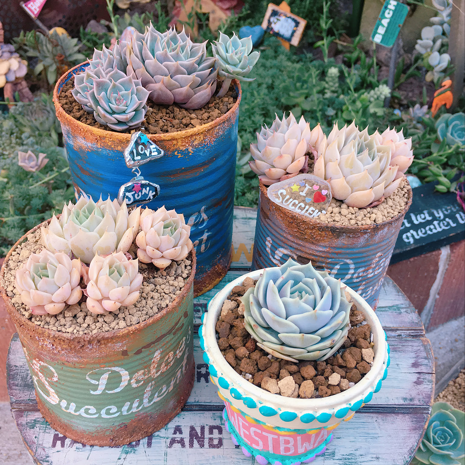 素八九鉢 作家鉢 手作り 観葉 多肉 塊根 芽の巣山 カタチ製作所 素八九