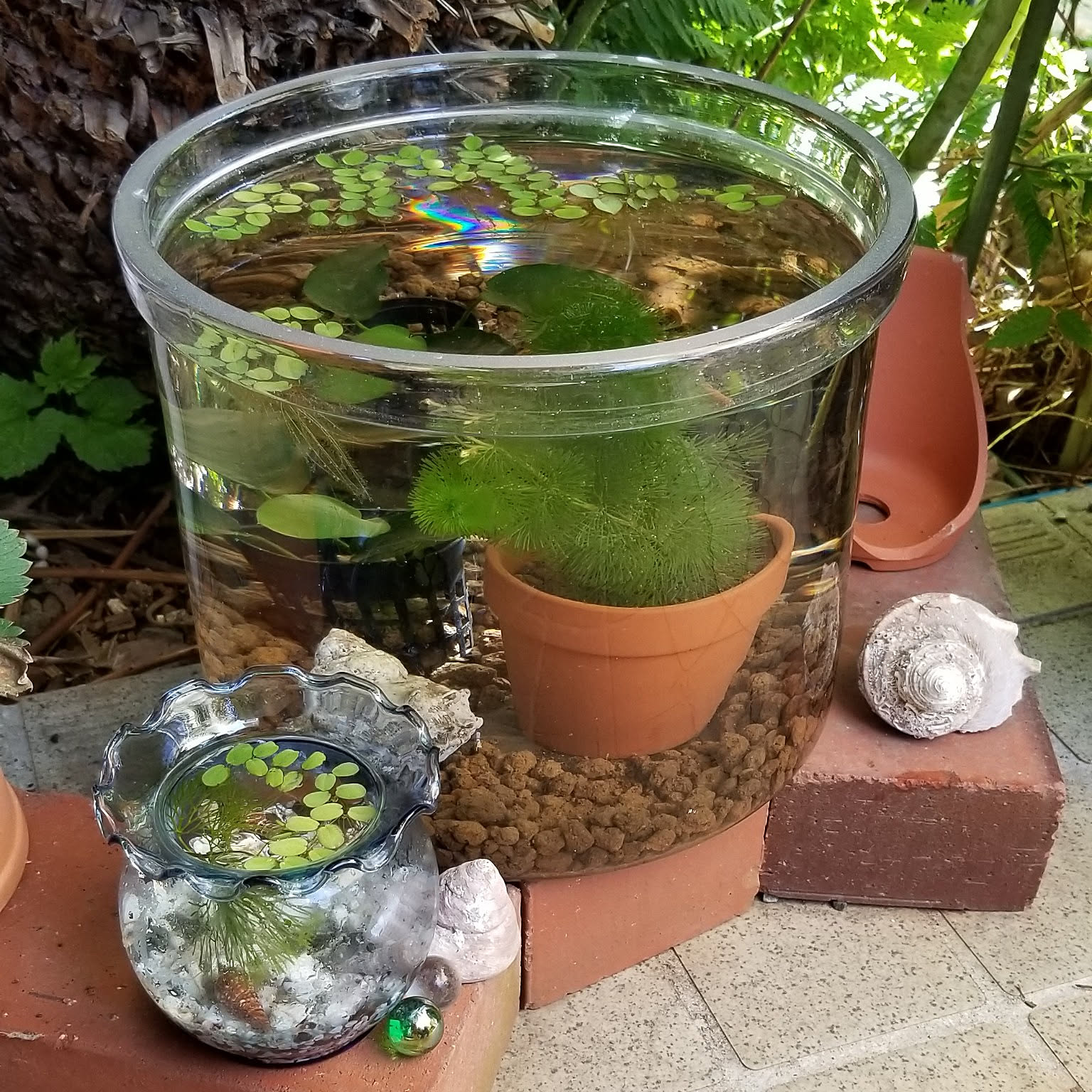 ミニ金魚鉢⭐️ミニ巾着袋⭐️起き上がりこぼし⭐️金魚⭐️キーチェーン付き⭐️置物⭐️２3個 ミニ金魚鉢⭐️ミニ巾着袋⭐️起き上がりこぼし⭐️金魚⭐️キー