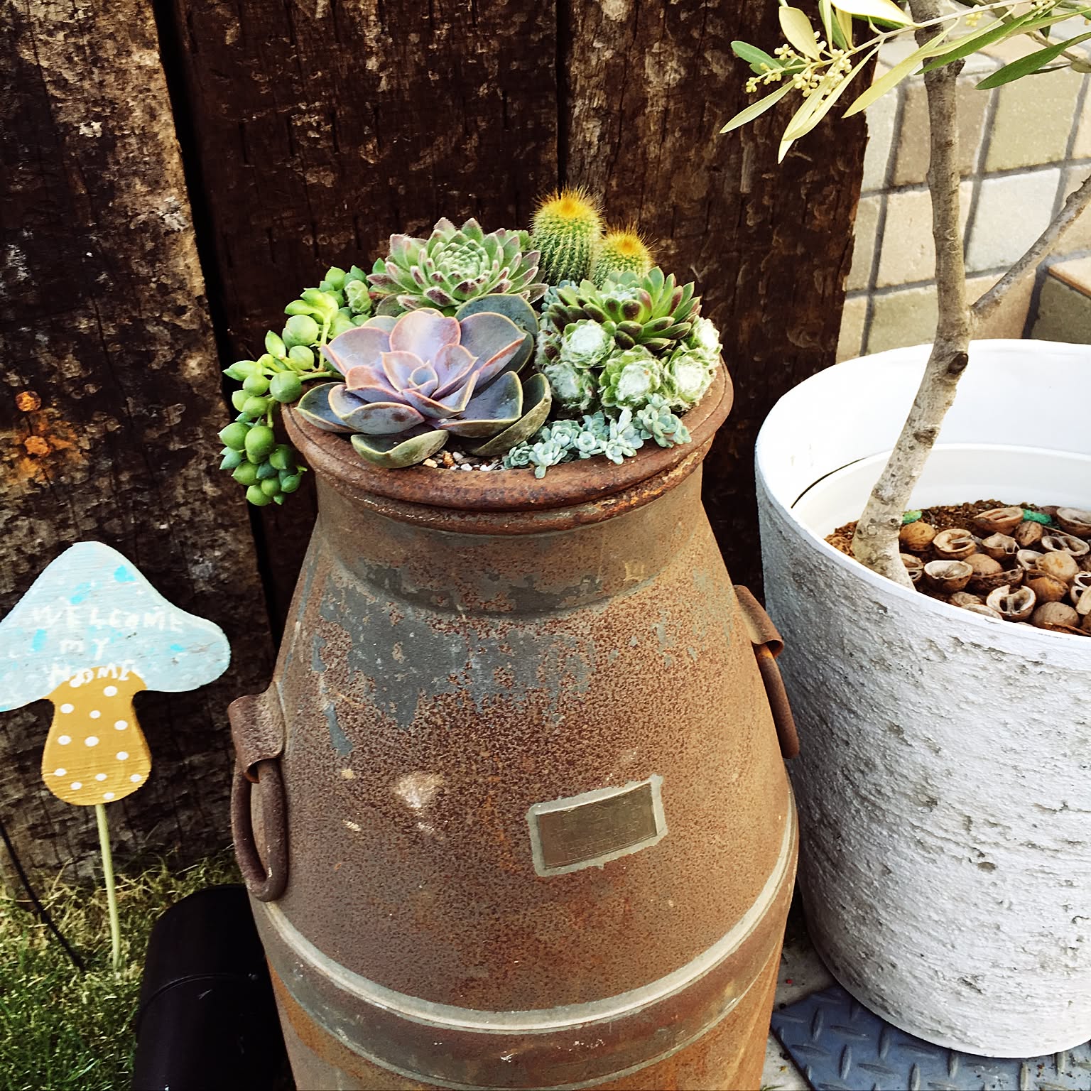 9f2600da4cc04ee34c17247d6810cb