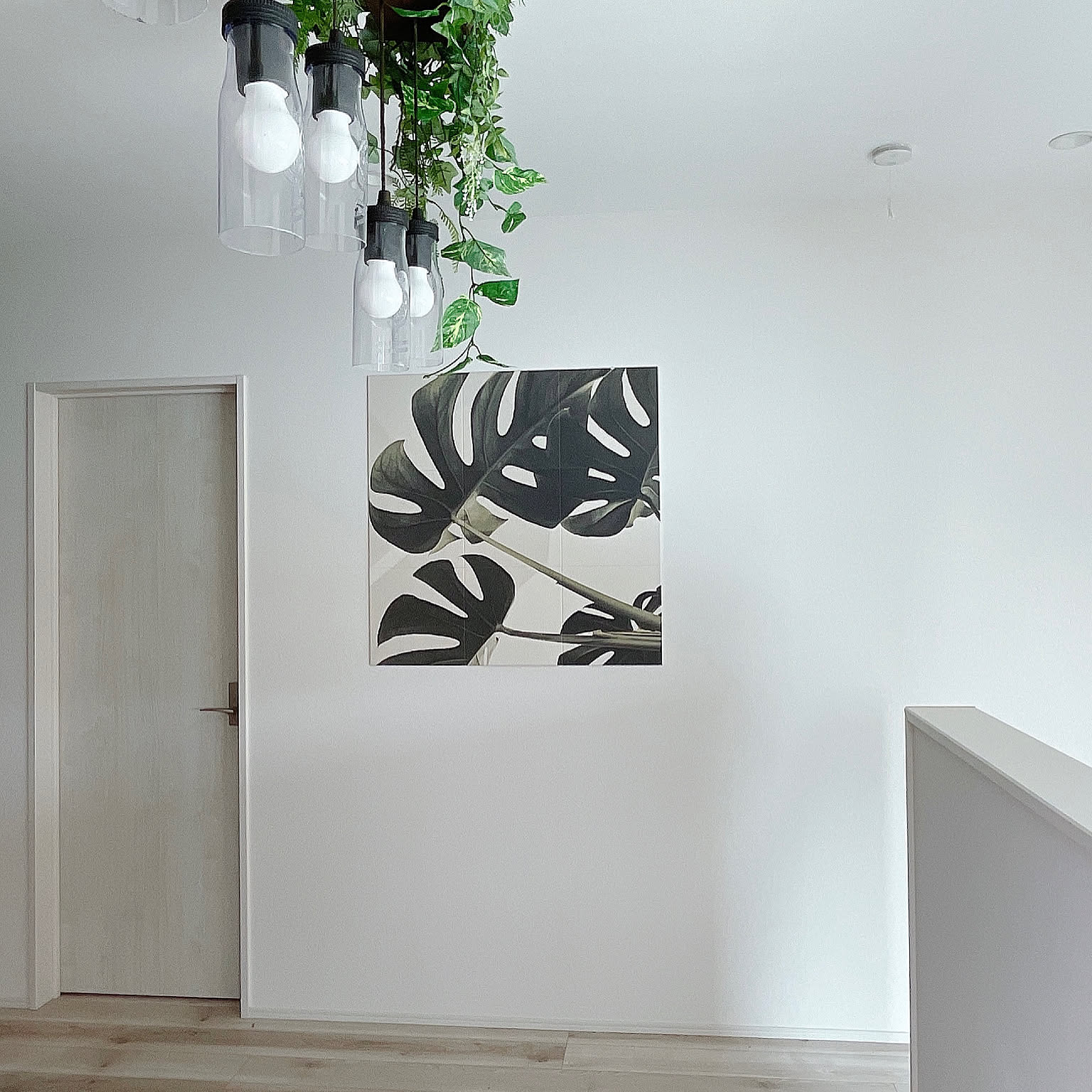 モンステラ エコカラットセルフのおしゃれなアレンジ・飾り方の